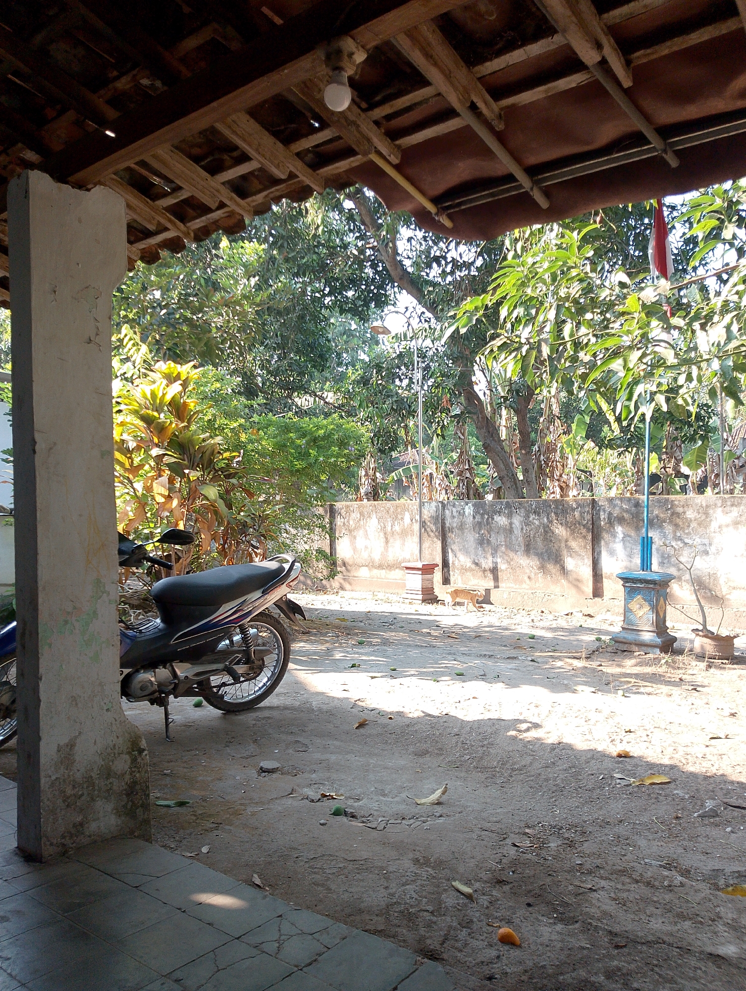 The image captures a shaded outdoor area, likely a yard or patio, in Geger, Indonesia. A motorcycle is parked on the left side of the frame, leaning on its kickstand. In the background, a low concrete wall separates the yard from dense foliage and trees. A small orange cat is visible near the wall, in the middle ground. The ground is predominantly dirt and concrete, with scattered leaves and some fallen fruit. The scene is illuminated by sunlight filtering through the trees, casting shadows. The architecture suggests a rustic or traditional setting, with a wooden roof structure visible overhead, supported by a concrete pillar on the left.