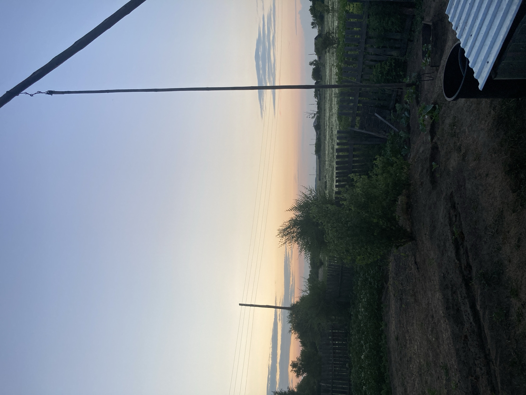 This is a vertical, landscape-oriented photograph taken during the golden hour, likely at dusk or dawn. The scene is set in a rural environment in Rakity, Russia, indicated by the presence of wooden fences, a field, and a rustic dwelling with a corrugated metal roof. The sky transitions from a clear, pale blue at the top left to a soft gradient of orange and pink as it meets the horizon, suggesting the presence of the sun just below the frame. A few wispy clouds are scattered across the sky.
Prominently featured are several power lines stretching across the frame, supported by a dark pole. In the foreground, a patch of dark soil with visible furrows suggests cultivation or recently tilled land. To the right, a large, dark cylindrical object, possibly a water barrel or bin, sits next to a section of a dark structure with a white corrugated metal roof. Various greenery, including bushes and trees, lines the fences and borders the cultivated area, adding to the natural, countryside atmosphere. The overall mood is tranquil and serene, capturing the quiet beauty of a rural evening or morning. No text is visible in the image.
