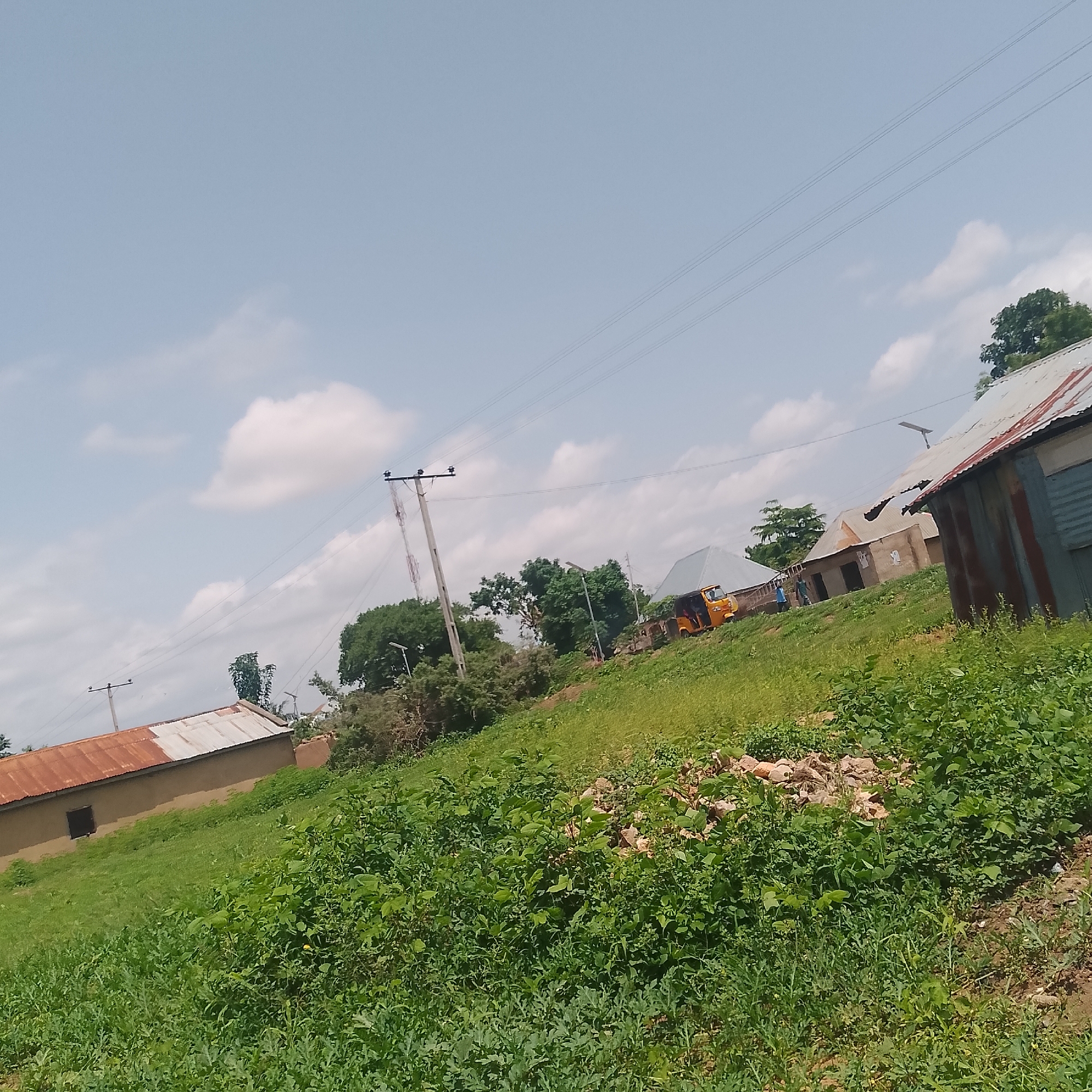 This media file depicts a rural scene in Jalingo, Nigeria, under a clear blue sky with scattered white clouds. The time of day appears to be daytime, possibly late morning or early afternoon, given the brightness of the sunlight. The weather seems pleasant and sunny.
The scene is characterized by a sloped grassy terrain with several structures and elements of infrastructure. In the foreground and mid-ground, lush green vegetation and tall grass dominate the landscape, indicating a fertile environment.
Several buildings are visible, some with corrugated metal roofs, suggesting a residential or functional area. One building on the far left has a reddish-brown metal roof. To its right, a building with a light-colored wall and a partially rusted metal roof is visible. Further to the right, more structures are present, including one with a grey, angular roof and another with a corrugated metal roof.
Elements of infrastructure include utility poles with power lines stretching across the sky, a common sight in populated areas.
A distinctive object in the scene is a yellow three-wheeled vehicle, resembling a tricycle or auto-rickshaw, parked on a slight incline. Two figures are visible near it, suggesting human presence and activity. In the mid-ground, another power pole with visible antennas or equipment is present.
The overall impression is one of a typical day in a semi-urban or rural Nigerian settlement, with a mix of residential buildings, vegetation, and essential infrastructure. No visible text is discernible in the image.