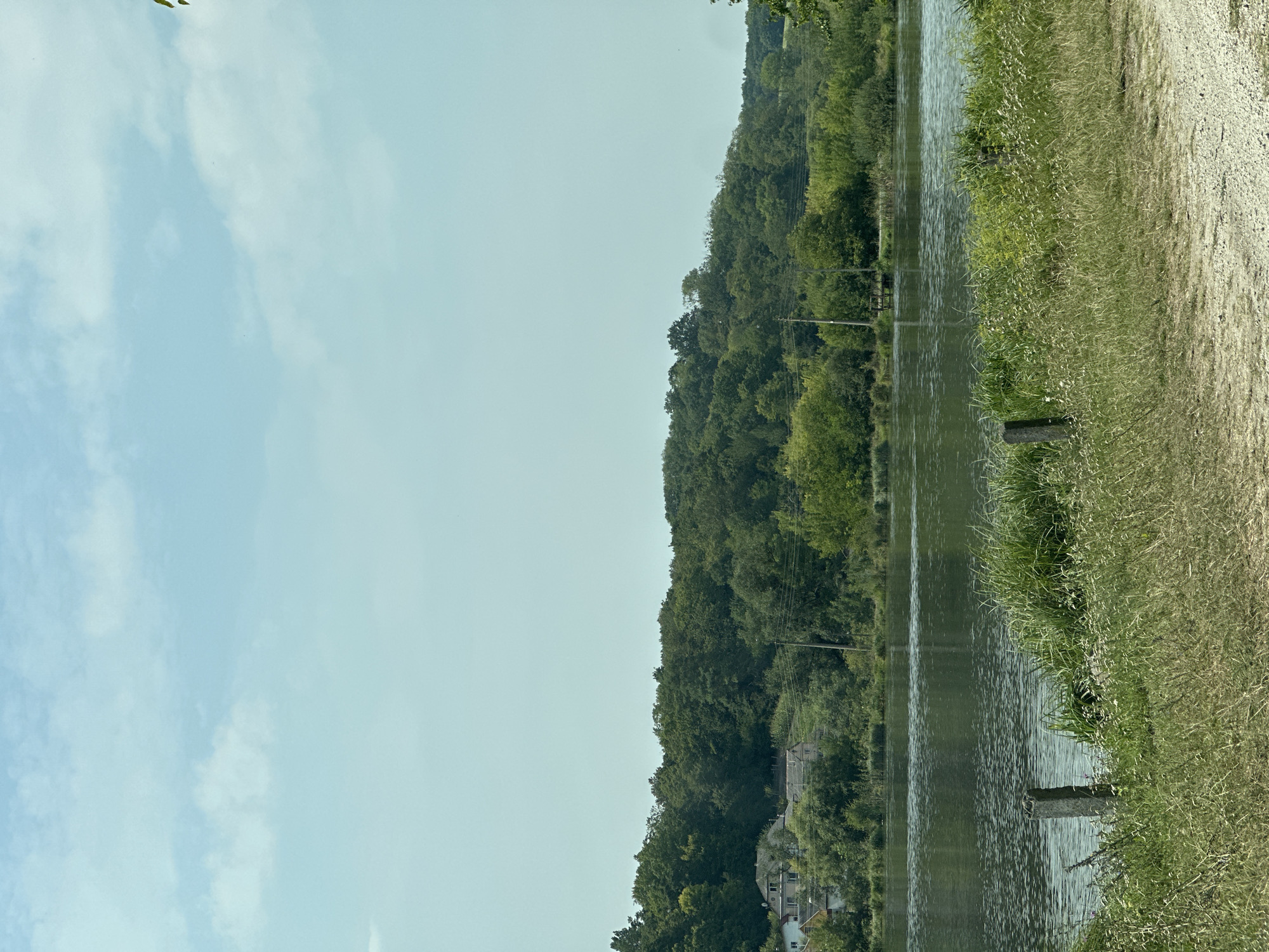 The image depicts a serene landscape scene of a lake bordered by a dense forest. In the background, several houses are visible nestled among the trees on a gentle incline. The sky is a pale blue with scattered white clouds. The foreground shows a grassy embankment leading down to the water's edge, with a few weathered posts and wild vegetation. The water is calm, reflecting the sky and surrounding greenery. The overall impression is one of a rural or semi-rural setting, likely within the outskirts of the city of Makiv, Ukraine, given the context of the request. There are no people or animals visible in the image. The environment appears to be a natural habitat with evidence of human habitation in the distance.