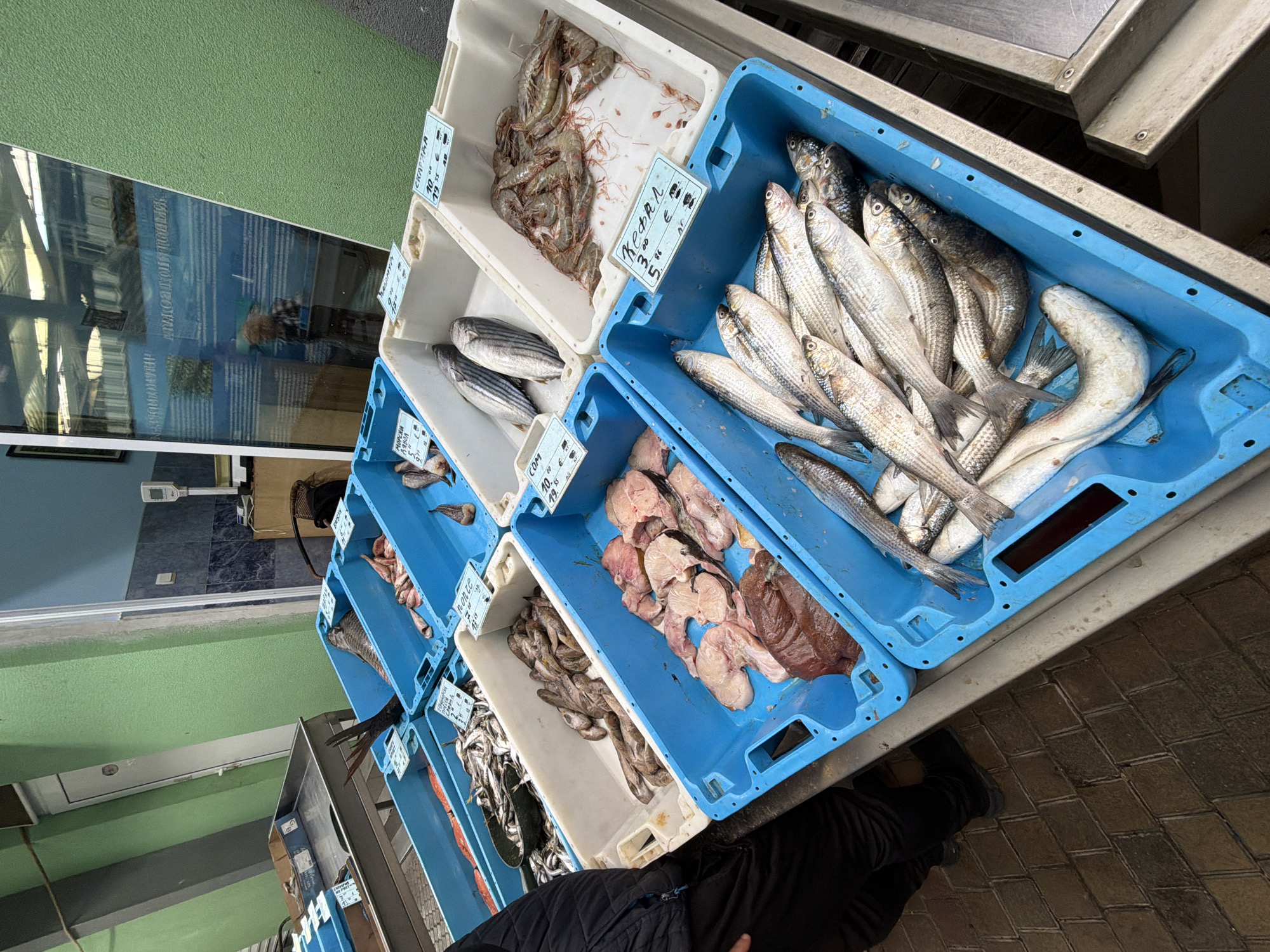 The image captures a tilted overhead view of a fishmonger's display, likely in Burgas, Bulgaria, as indicated by the Cyrillic text on the price tags. Assorted fresh seafood is presented in blue and white plastic crates arranged on a metallic counter. The crates contain various types of fish and seafood, including shrimp, whole fish, and cut fish steaks. Price tags with handwritten notes are placed in front of each crate. A person, clad in black, stands beside the display. In the background, a storefront with a reflective glass window and green wall paint is visible. The ground is paved with bricks.