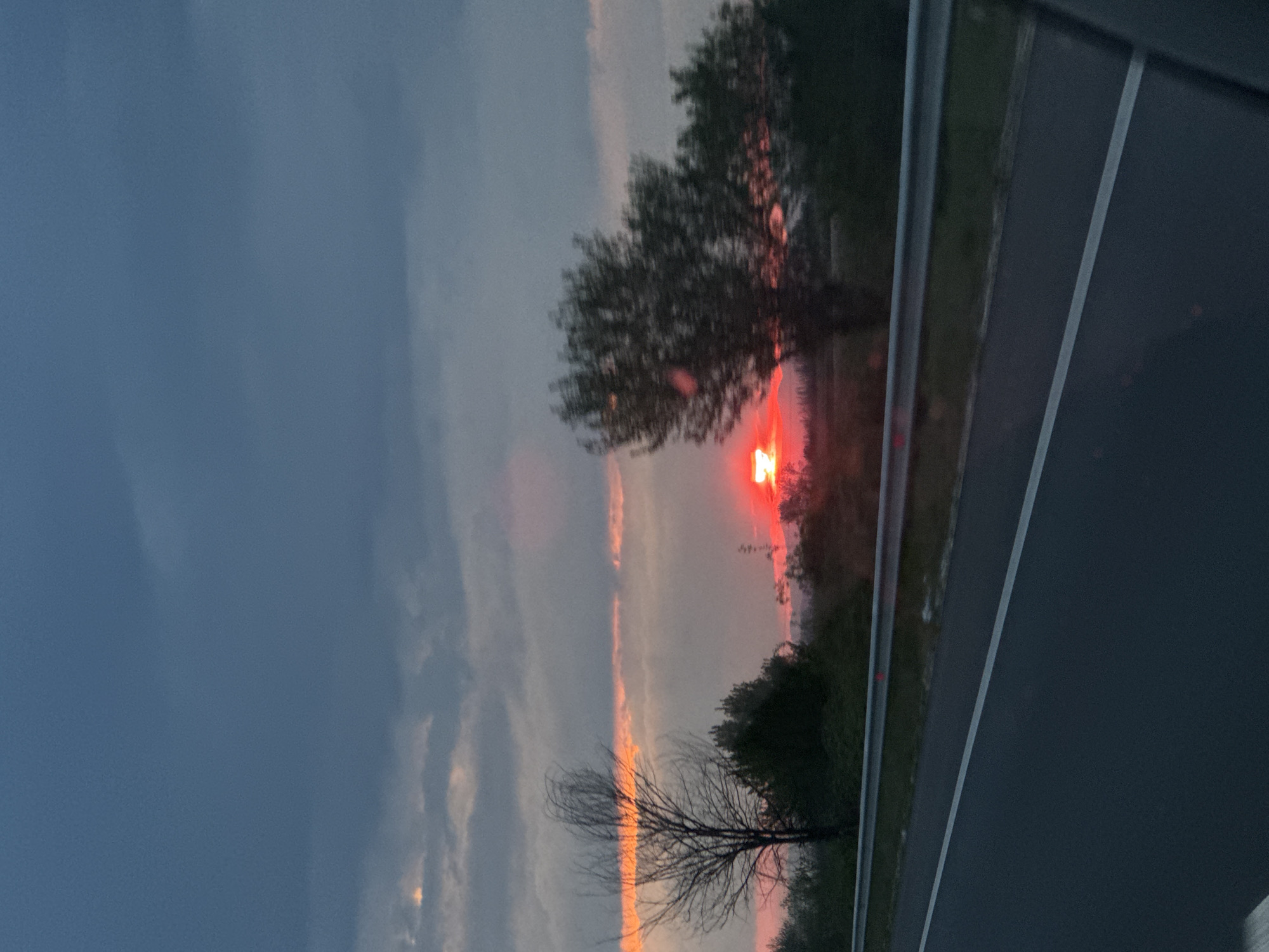 The image, oriented vertically, captures a vibrant sunset scene from a roadside perspective in Malo Konare, Bulgaria. The sky transitions from a dark, cloudy blue-gray in the upper left to lighter grays and brilliant orange and red hues near the horizon on the right. A prominent bright red-orange sun is setting on the right side, partially obscured by the silhouettes of trees.
Long, horizontal streaks of bright orange clouds stretch across the middle of the sky, reflecting the intense light of the setting sun. In the foreground, a bare tree with dark, intricate branches stands out against the lighter sky and illuminated cloud streaks on the left. Further right, a denser group of trees with full foliage appears dark, almost silhouetted, against the fiery backdrop of the sunset.
Below the horizon, a dark asphalt road is visible along the bottom of the frame, marked by a distinct white line. A gray guardrail or barrier runs parallel to the road on the far right. The overall lighting is low, characteristic of dusk, with strong backlighting from the sun creating a dramatic effect. No people or visible text are present, and no specific activity is taking place, presenting a tranquil natural landscape.