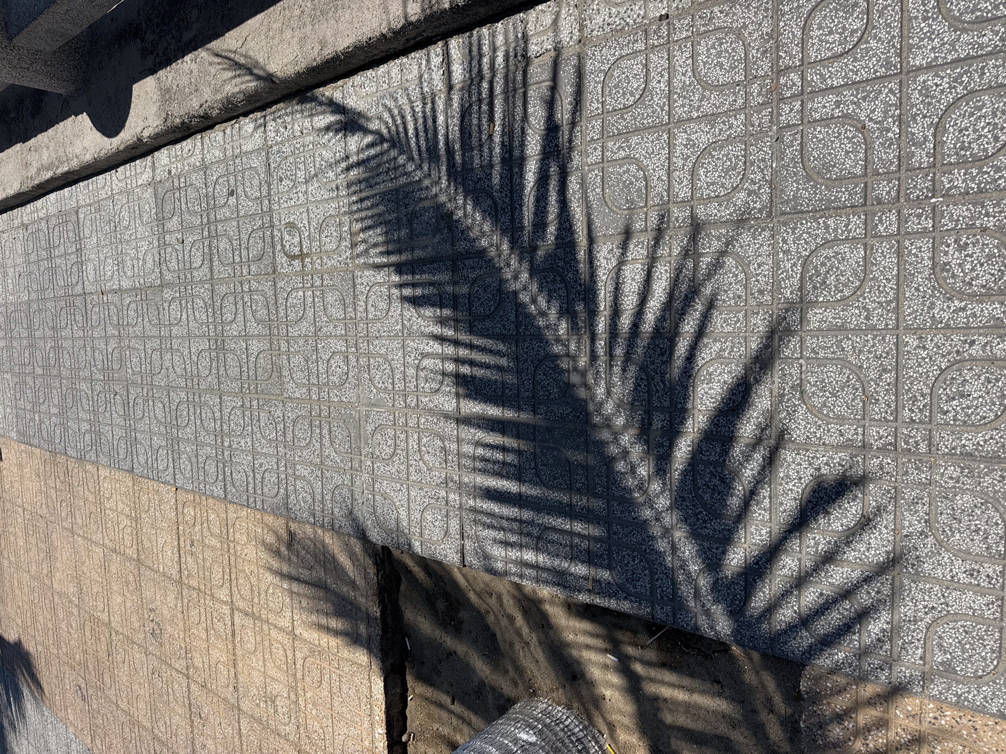 The image shows a section of a sidewalk in Bac Nha Trang Ward, Vietnam. The sidewalk is divided into two distinct sections: one paved with light brown tiles and the other with grey tiles. Both tile sections feature a repeating geometric pattern. A shadow of palm fronds is cast across the sidewalk, indicating the presence of a palm tree nearby. The edge of the sidewalk is bordered by a concrete curb. To the left of the sidewalk, there is an area of exposed soil and some debris, including what appears to be discarded cigarette butts and a roll of mesh material. The scene is set outdoors during daylight, with sunlight creating the shadows. There are no people visible in the image.