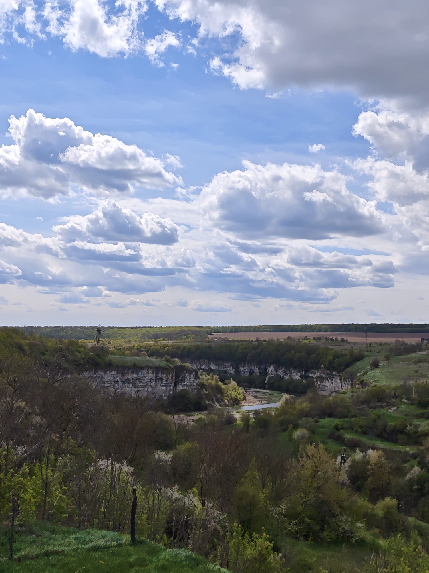 A wide-angle landscape photograph captures a vast canyon or river valley under a partly cloudy sky. The sky dominates the upper portion of the image, filled with voluminous white and grey cumulus clouds against a bright blue backdrop, suggesting good weather.
In the foreground, lush green and brown foliage, including trees and shrubs, covers the gentle slopes, indicating spring or early summer growth. A vertical wooden post is partially visible in the bottom left corner.
The middle ground showcases the distinctive features of a deep river canyon. Its steep walls are composed of exposed, light-colored layered rock formations, likely limestone. A narrow, winding river or stream flows along the bottom of the canyon, its water appearing calm. The canyon slopes are also dotted with green trees and bushes. A tall, metal lattice tower, possibly a transmission tower, stands on a ridge overlooking the canyon on the left side of the frame.
Beyond the canyon, the background reveals a flatter expanse of land. On the left, it's covered by dense green forest, while on the right, a large, cultivated field with reddish-brown soil stretches into the distance. A smaller utility pole is visible in the far background.
The scene depicts a natural landscape, likely a river valley, in Kamianets-Podilskyi, Ukraine, known for its deep canyon carved by the Smotrych River. The time of day appears to be bright daytime. No human activity or visible text is present.