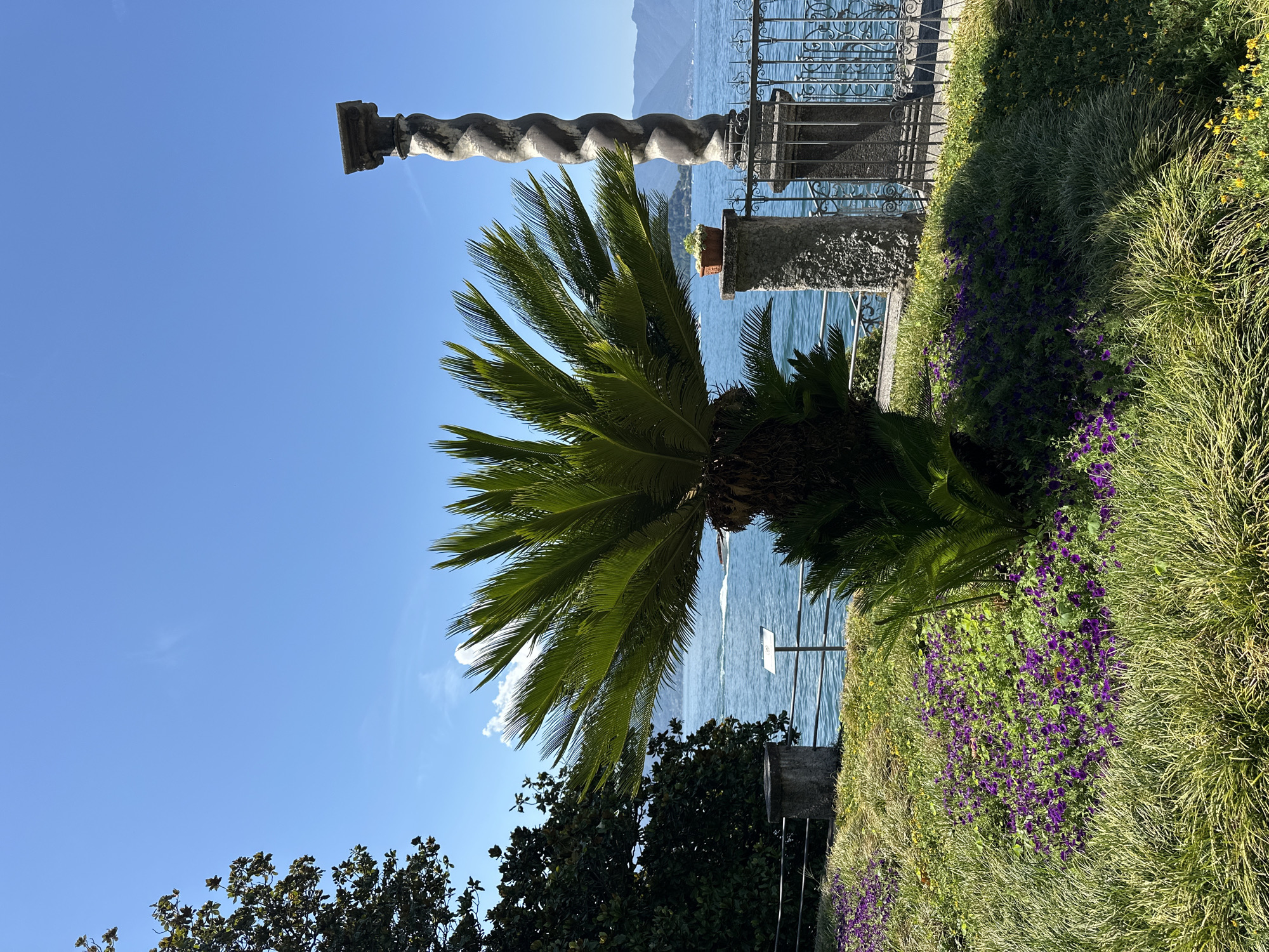 This is a photograph taken outdoors on a clear, sunny day, featuring a lake and surrounding landscape. In the foreground, there is a well-maintained garden with lush green grass, small purple flowers, and a palm-like plant. A decorative stone pillar with a spiral design stands to the right, adorned with a small potted plant at its top. Behind the garden, a metal fence separates it from a body of water, likely Lake Como, with gentle waves and a boat in the distance. In the background, hazy mountains can be seen on the horizon. The scene appears to be from a public garden or park, possibly in Varenna, Italy, given the characteristic landscape and architectural style. No people are visible in the frame.