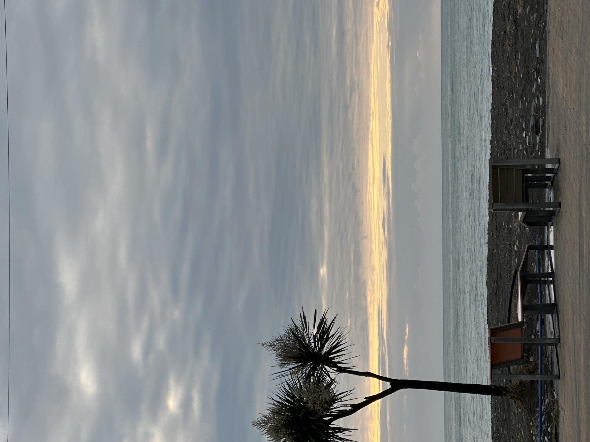 The image depicts a coastal scene in Batumi, Georgia, at what appears to be dusk or dawn. The sky is overcast with textured clouds. A narrow strip of golden light is visible on the horizon, suggesting either sunrise or sunset. The sea appears calm, its surface reflecting the sky's muted tones. A strip of beach with dark sand or pebbles is visible on the right side of the image. Two metal benches face the sea. A silhouetted tree is in the foreground, its branches extending into the frame. The overall atmosphere is tranquil and subdued.