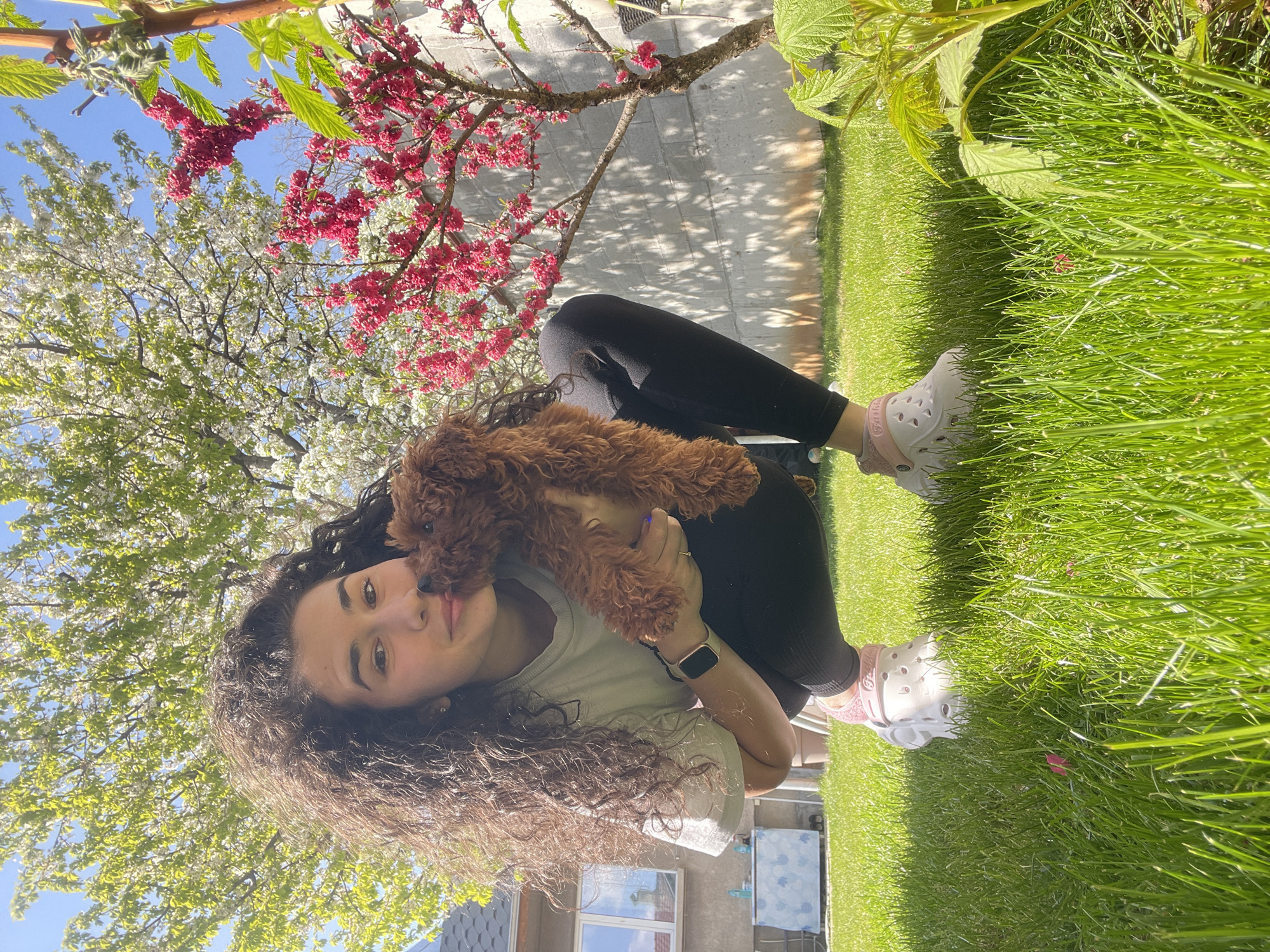 A young woman with long, dark, curly hair is depicted sitting outdoors, holding a small, fluffy brown dog. She has a gentle smile and looks directly at the viewer. She is wearing a light-colored t-shirt, black leggings, and white Crocs sandals with pink straps, one of which visibly reads "CROCS". A smartwatch is on her left wrist, and she has blue nail polish. The small dog, which appears to be a poodle or a similar breed puppy, is snuggled close to her chest.
The scene is set in a sunny garden or backyard, characterized by lush green grass where the woman is seated. The background features a vibrant array of flowering trees: some with bright red blossoms and others with white blossoms, all set against a clear blue sky. A paved area and part of a building with a window are visible behind her. The strong sunlight casts clear shadows, indicating a bright day, likely midday or early afternoon, suggesting the spring season. The overall mood of the image conveys a sense of calm and affection between the woman and her pet. This moment is captured in Sofia, Bulgaria.