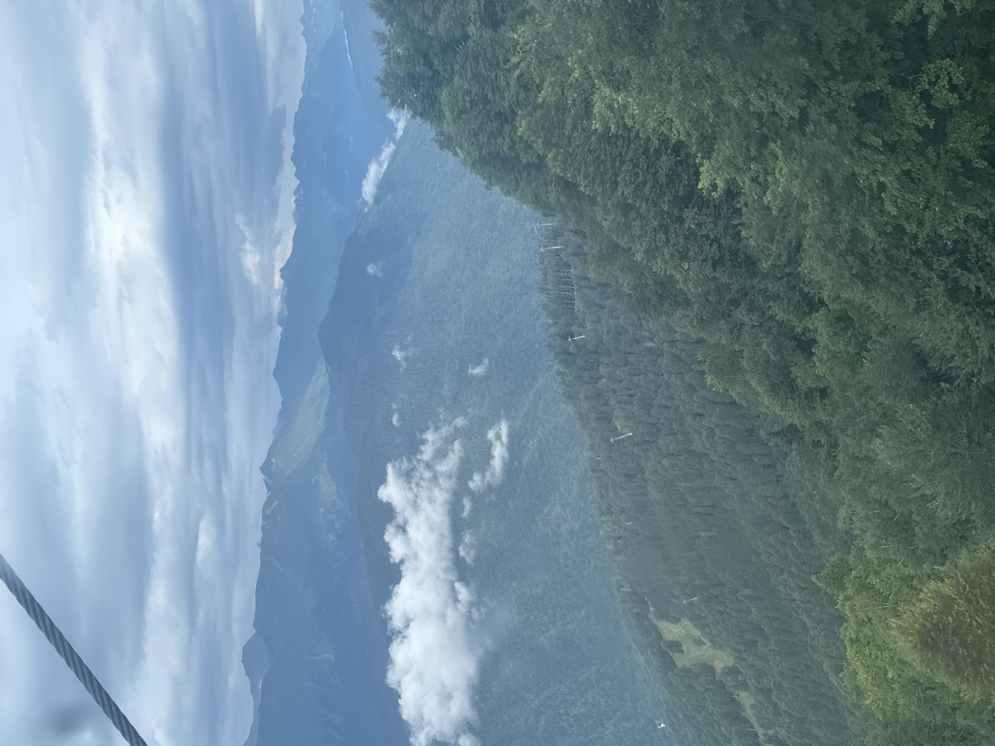 The image depicts a panoramic view of a mountainous landscape, likely taken from a cable car ascending a slope, given the presence of a thick cable in the upper left corner. The scene is characterized by rolling green hills covered in dense coniferous forests, with several layers of mountains receding into the distance. The sky is overcast with thick, grey clouds, suggesting a cool or temperate climate. Patches of white clouds are visible nestled within the mountain valleys.
In the mid-ground, there's a distinct ski slope or cleared area on one of the hillsides, indicating a potential ski resort. Several ski lift towers are visible scattered across the forested slopes, further suggesting a recreational mountain area. The foreground is dominated by the lush green foliage of trees, some of which are close enough to the viewer to appear as the edge of a dense forest. The overall impression is one of natural beauty and a popular tourist destination.
Based on the description, the image is likely taken in Estosadok, Russia, a well-known resort town in the Krasnodar Krai region, famous for its mountain resorts and ski infrastructure, particularly within the Caucasus Mountains.
