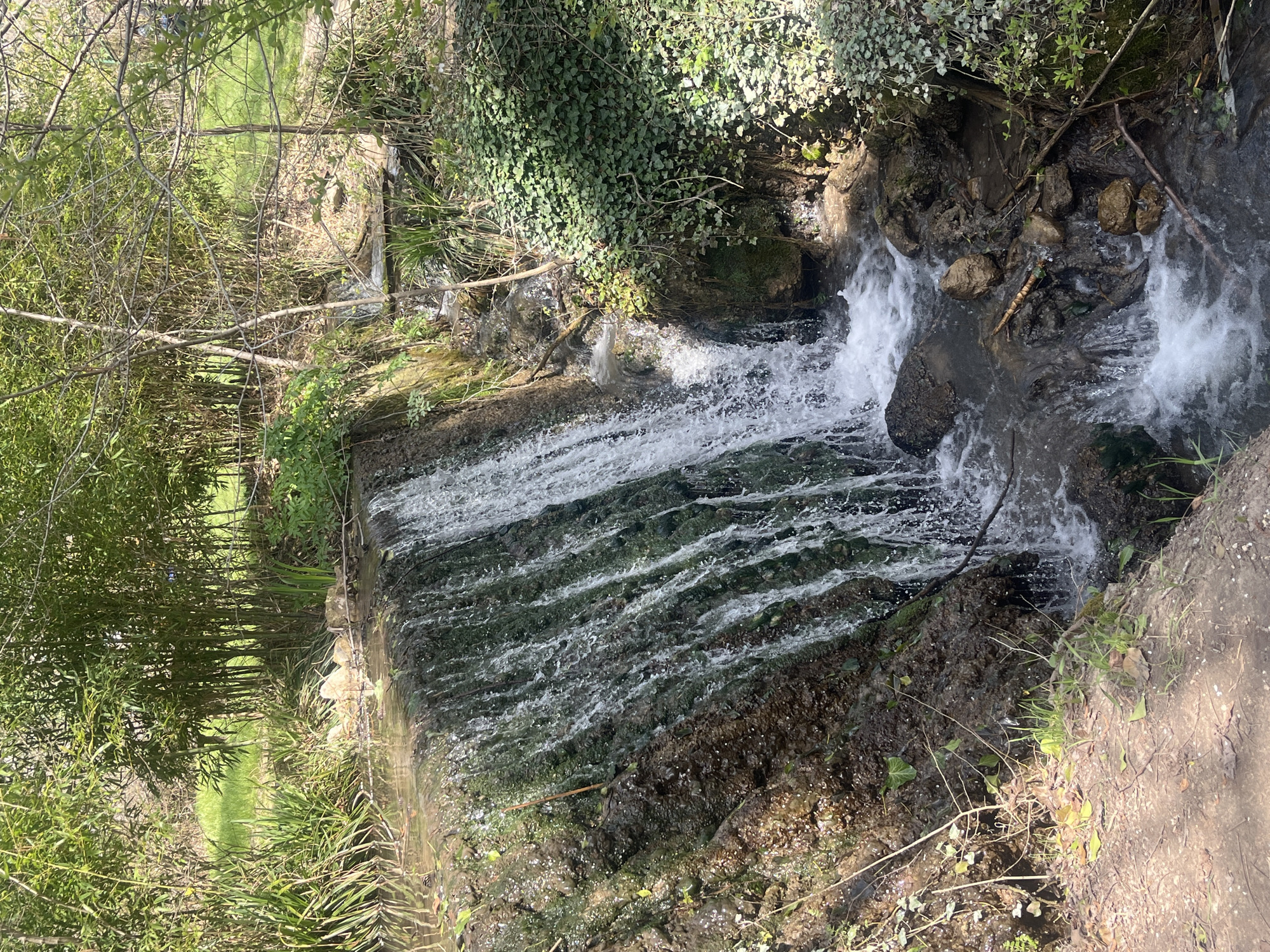 The image depicts a small waterfall in what appears to be a natural setting. Water cascades over a structured, moss-covered wall into a stream. Vegetation, including bamboo and ivy, surrounds the area. The location is Varna, Bulgaria. There are no people visible in the image.
