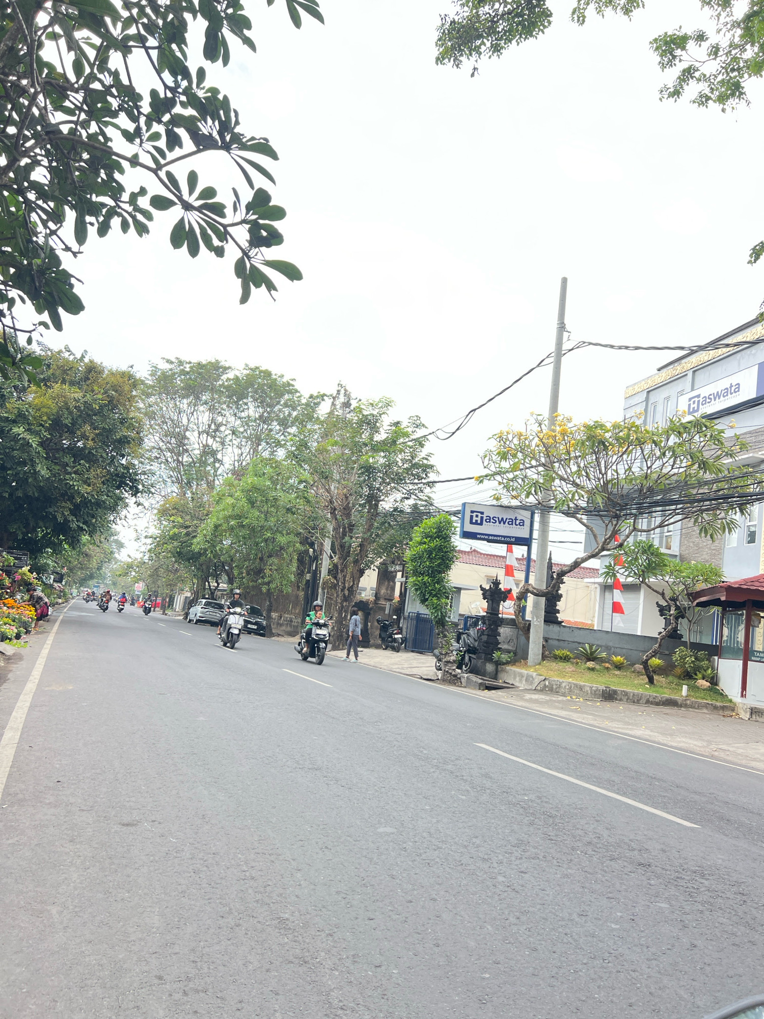This is a daytime, eye-level, vertical shot of a street scene in Denpasar, Indonesia. The road is paved and appears to be a two-lane street with a white line dividing the lanes. Several motorbikes are in motion on the road. On the left side of the road, there is a sidewalk lined with potted plants, some of which are flowering with yellow and pink blooms. Further down the road on the left, trees with dense green foliage line the street.
On the right side of the road, there is a modern, multi-story building with a gray facade. A sign with the logo "Haswata" is visible on the building and on a separate signpost. Yellow flowers are blooming on a tree in front of the building. There is a stone wall and some landscaping in front of the building, including small plants and decorative stones. A red-roofed structure is partially visible on the far right. Overhead, power lines crisscross the sky, and the branches of a tree with green leaves extend into the upper portion of the frame. The sky is overcast.