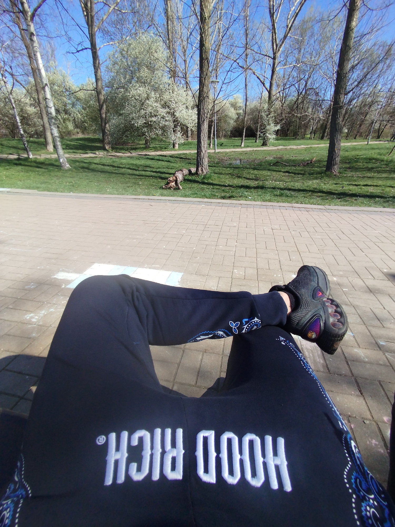 A person sits on a paved surface, likely a patio or walkway, in an outdoor park-like setting. The person's legs are extended toward the camera, and they are wearing black sweatpants with the words "HOOD RICH." printed in white lettering and black shoes. A design pattern of blue and white floral elements runs down the side of the sweatpants. The area around the legs is textured and gray. Beyond the paved area is a grassy field dotted with trees and flowering bushes under a bright sky. There is a pile of brush lying on the grass.