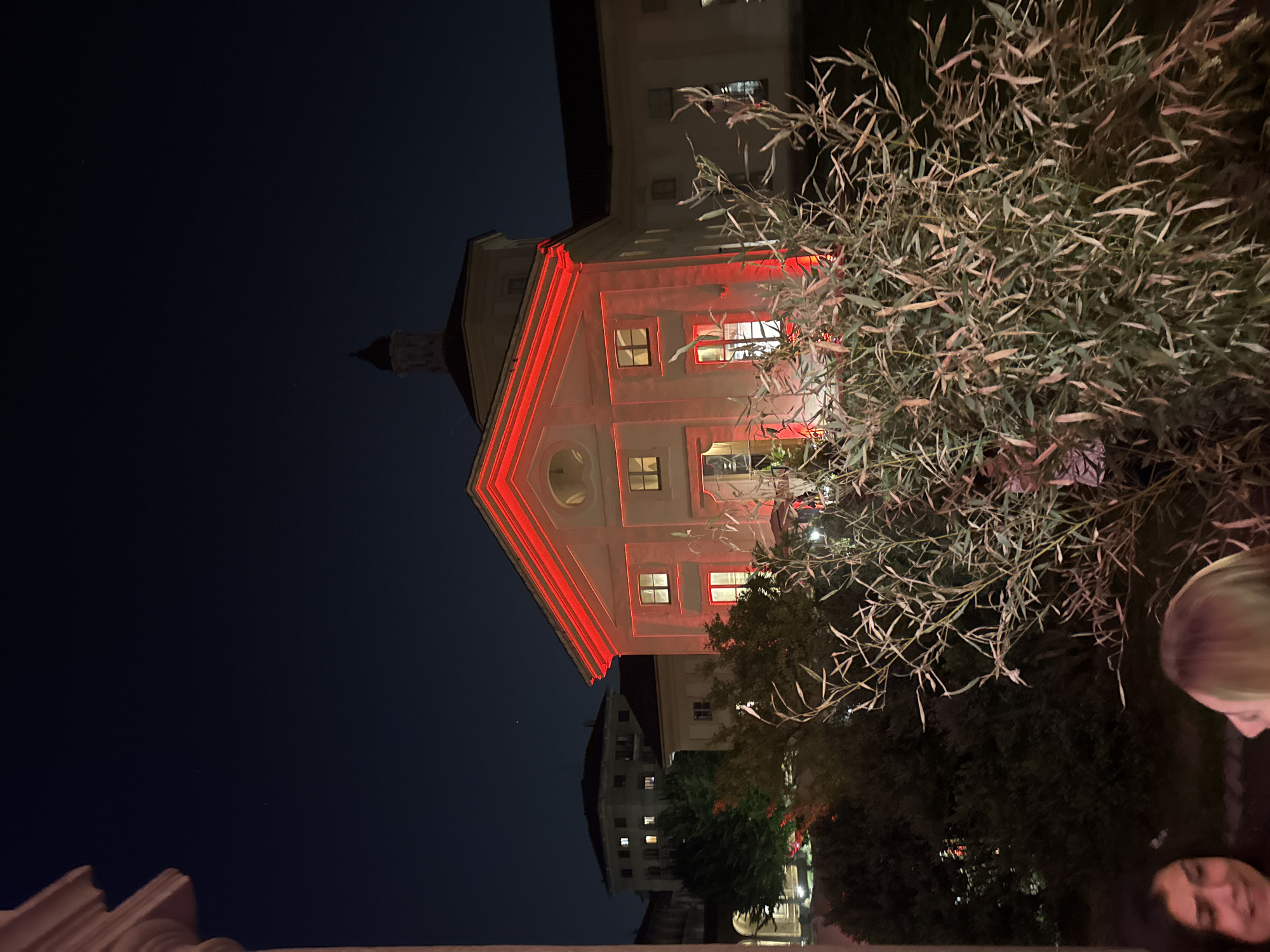 The image shows a building in Milan, Italy, illuminated with red lights at night. The building has a distinctive peaked roof and a tower. A large bush or tree is partially obscuring the view. In the foreground, two people are partially visible.