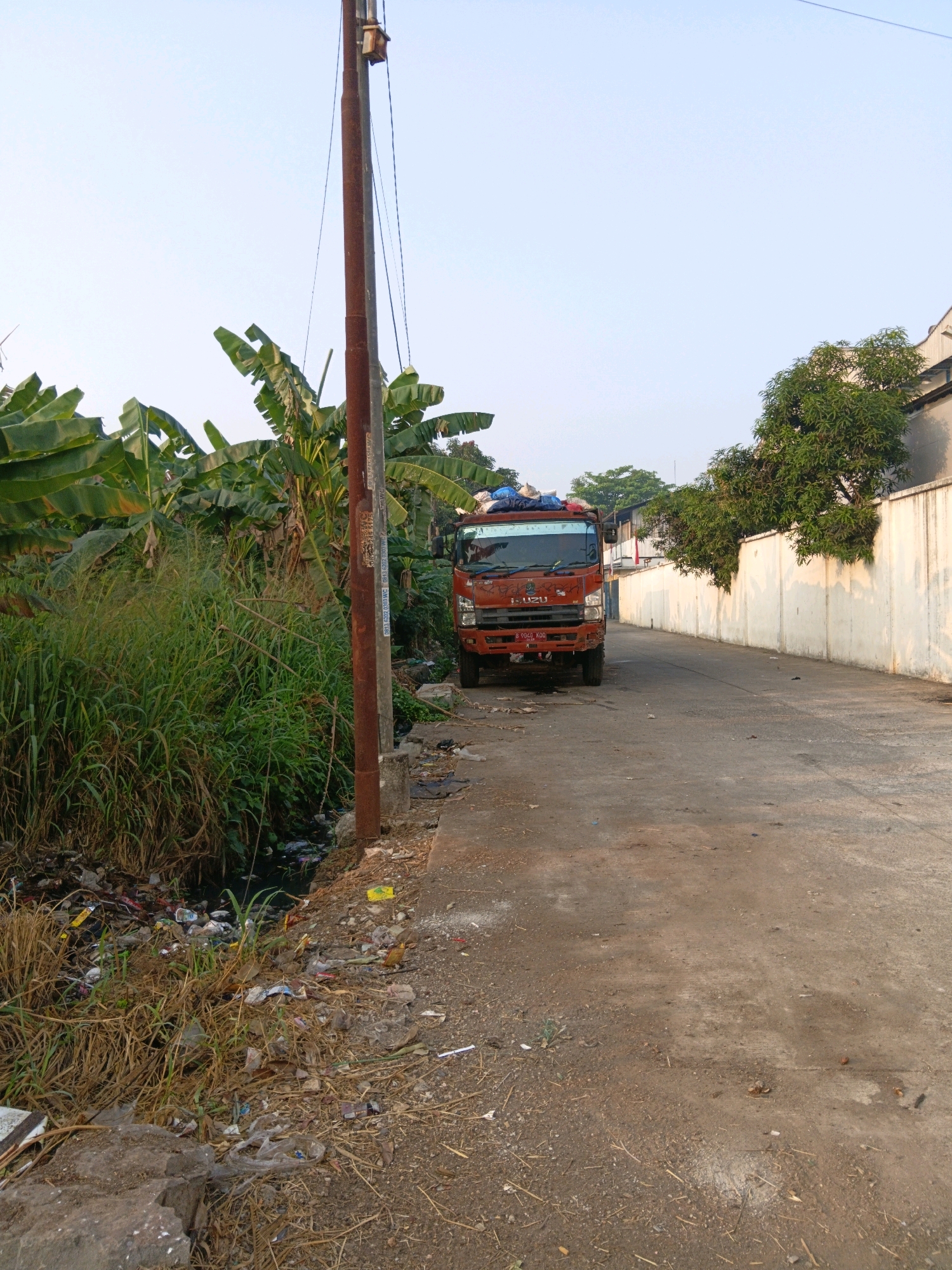 The image depicts a street scene in Bekasi, Indonesia, characterized by an abundance of banana trees and overgrown vegetation on the left side of the road. This area is littered with discarded waste, including plastic bags, bottles, and other debris, suggesting an unkempt environment. A small, dark, stagnant water channel runs alongside the vegetation, further contributing to the unsanitary appearance.
On the right side of the road, a tall, light-colored concrete wall stretches into the distance, casting a shadow from the sunlight. Lush green trees are visible behind the wall, creating a stark contrast with the neglected area on the opposite side.
Dominating the foreground and mid-ground is a red Isuzu truck parked on the asphalt road. The truck's bed is covered with a blue tarp, suggesting it is either carrying goods or refuse. The front of the truck displays a license plate that reads "B 9040 KOO." A wooden utility pole with various wires is positioned prominently near the center of the image, standing taller than the surrounding banana trees. The sky above is clear and a pale blue, indicative of daytime. The overall impression is one of a functional, yet partially neglected urban fringe within Bekasi.