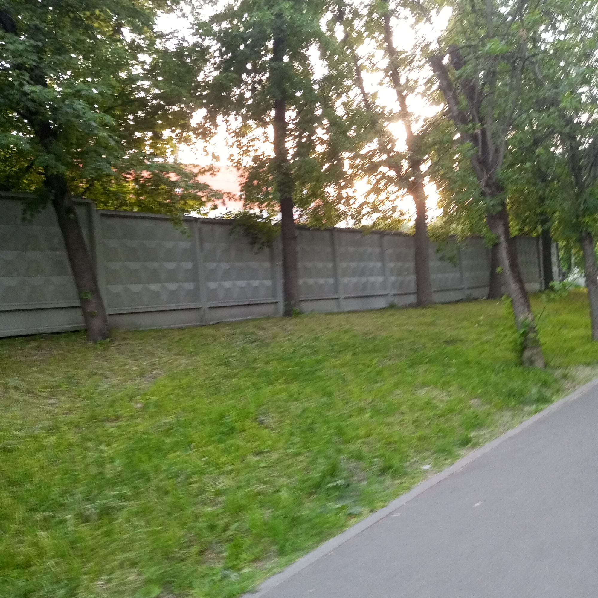 The image depicts a long, grey concrete fence with a textured, repeating pattern. Lush green grass covers the ground in front of the fence, and several trees with dense green foliage are visible, their branches arching over the fence and obscuring a building in the background. The sun is setting, casting a warm glow through the trees and creating a dappled light effect on the grass and fence. The scene is bordered on the right by a paved pathway. There are no people visible in the image. Based on the visual cues, this location is likely in a park or residential area within Moscow, Russia, characterized by its urban greenery and common fencing structures.
