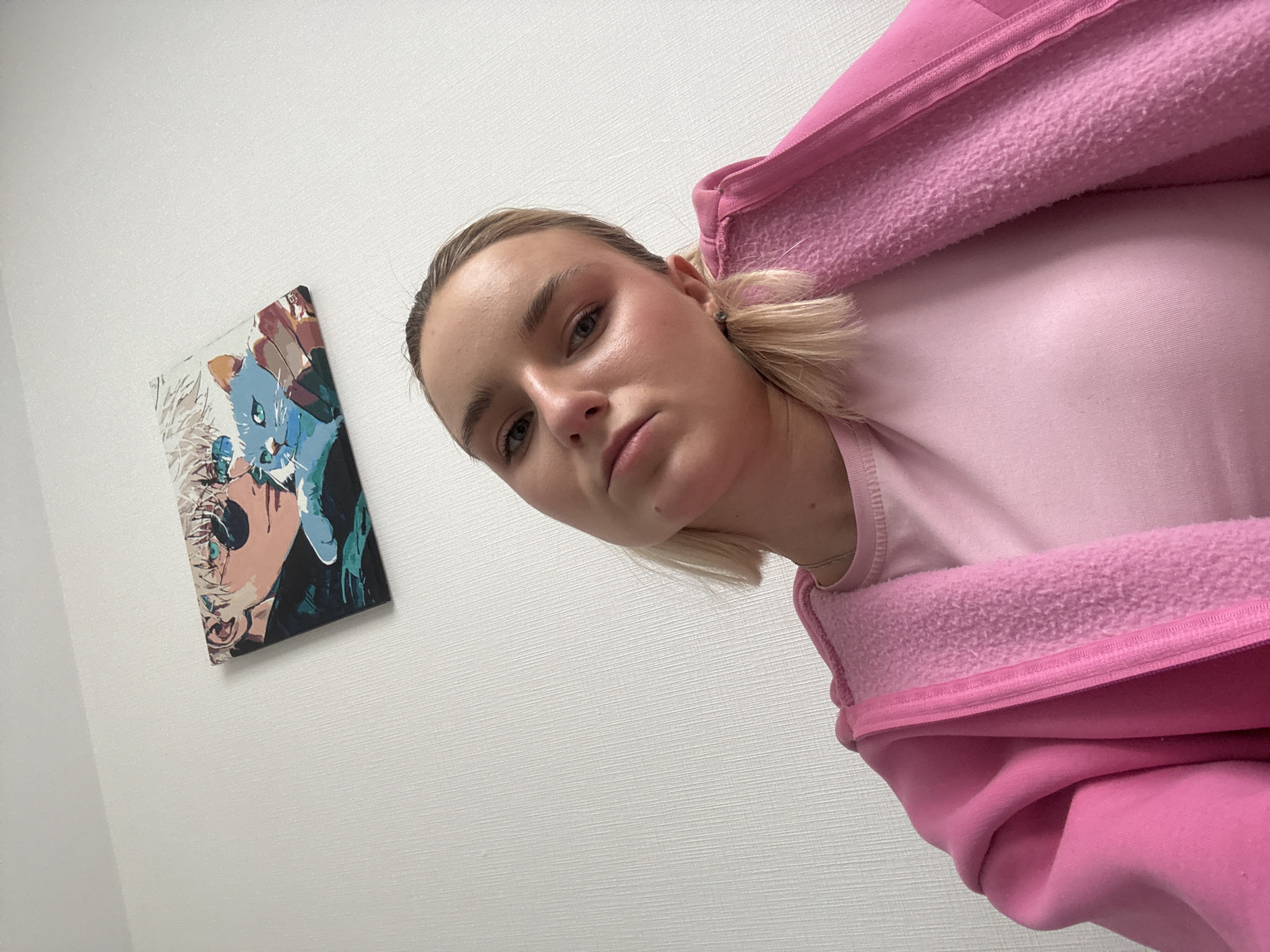 A fair-skinned woman with blonde hair pulled back into a low ponytail is positioned in the foreground of the image, wearing a light pink t-shirt and a bright pink hooded sweatshirt. She gazes directly at the camera with a neutral expression.
Behind the woman, on a white wall, hangs a rectangular piece of artwork. The artwork appears to depict an anime-style character with blue hair and a dark background.
The overall composition suggests the image was taken indoors. There is no indication of Vsevolozhsk, Russia.
