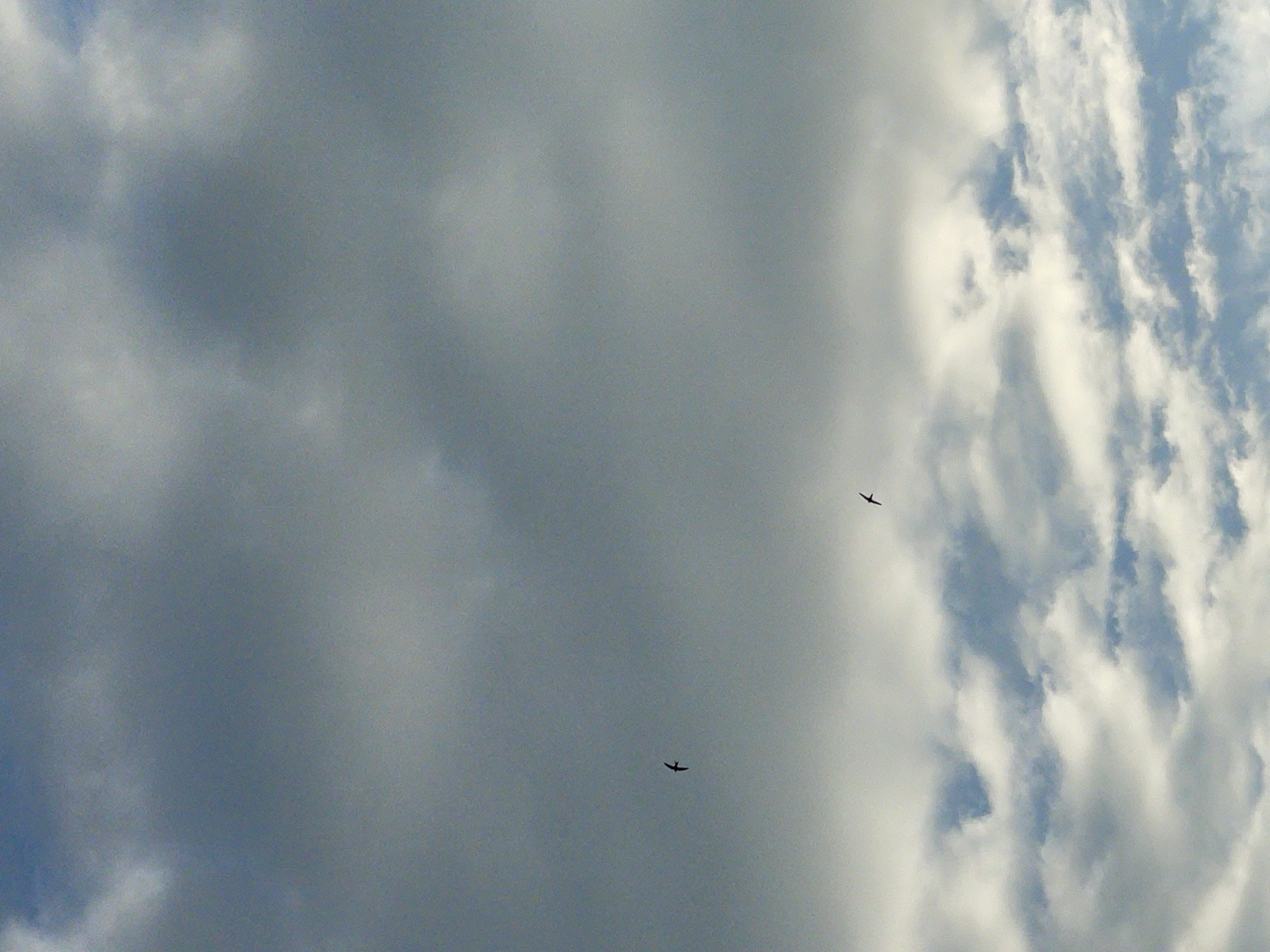 The image captures a cloudy sky, with two birds in flight. The birds are small silhouettes against the vast expanse of grey and white clouds. One bird is positioned in the lower-middle section of the frame, while the other is in the upper-right corner. The clouds are varied in texture, with some appearing dense and dark, while others are wispy and illuminated, suggesting a dynamic weather pattern. The overall impression is of a moment observed from below, looking up at the sky. The scene lacks any direct human subjects or man-made objects, focusing solely on the natural elements of the sky and the birds. There is no visible text in the image. The location context of Izhevsk, Russia, and the time of day or specific weather conditions are not discernible from the visual information alone.