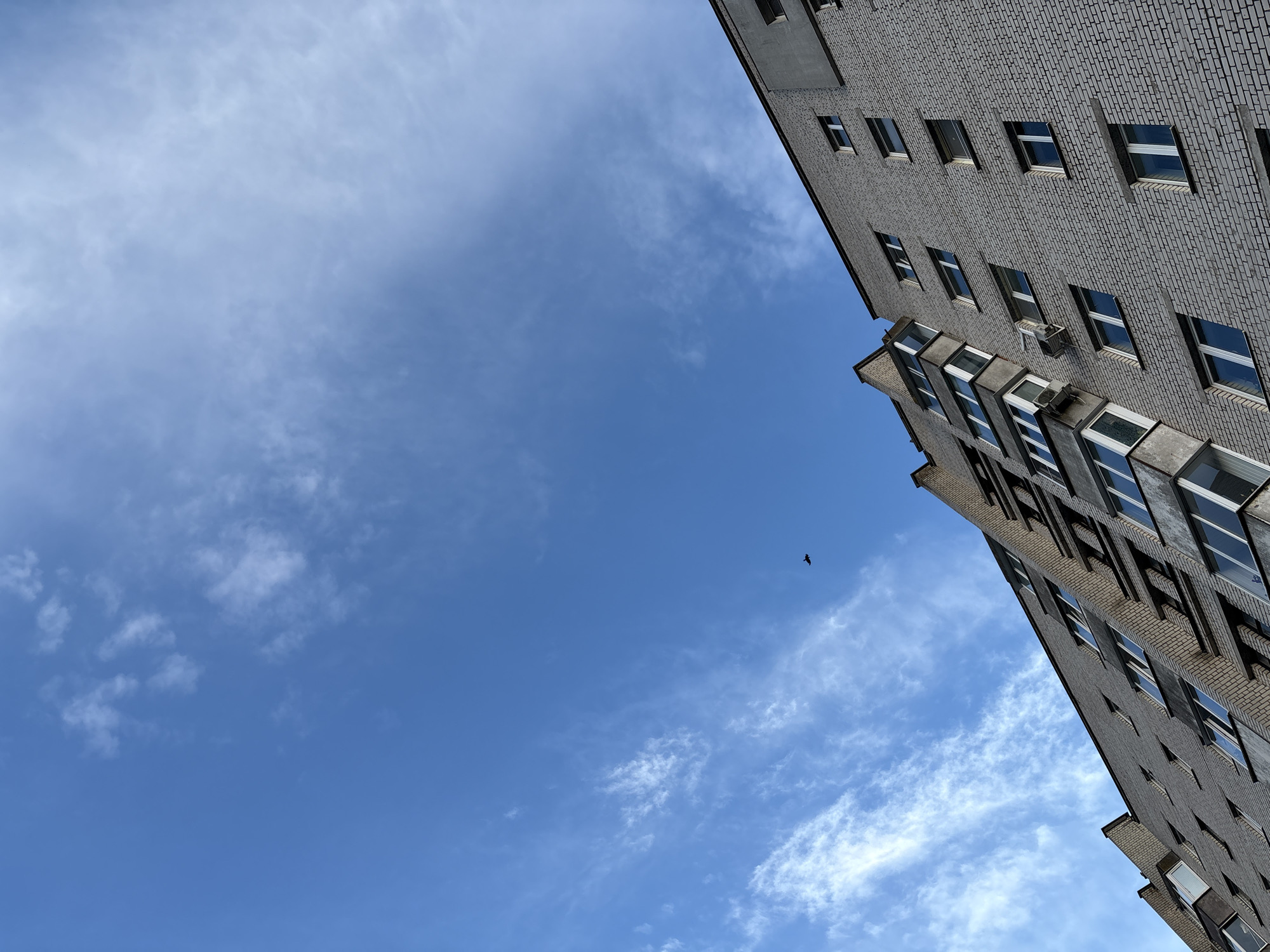 An exterior, low-angle shot captures the side of a multi-story brick apartment building under a clear blue sky with wispy white clouds. A small, dark bird is visible in flight against the sky to the left of the building. The building's facade is constructed of light gray bricks and features multiple windows, some with balconies. The perspective is tilted, looking upwards towards the sky. The scene appears to be in the city of Vitsebsk, Belarus.