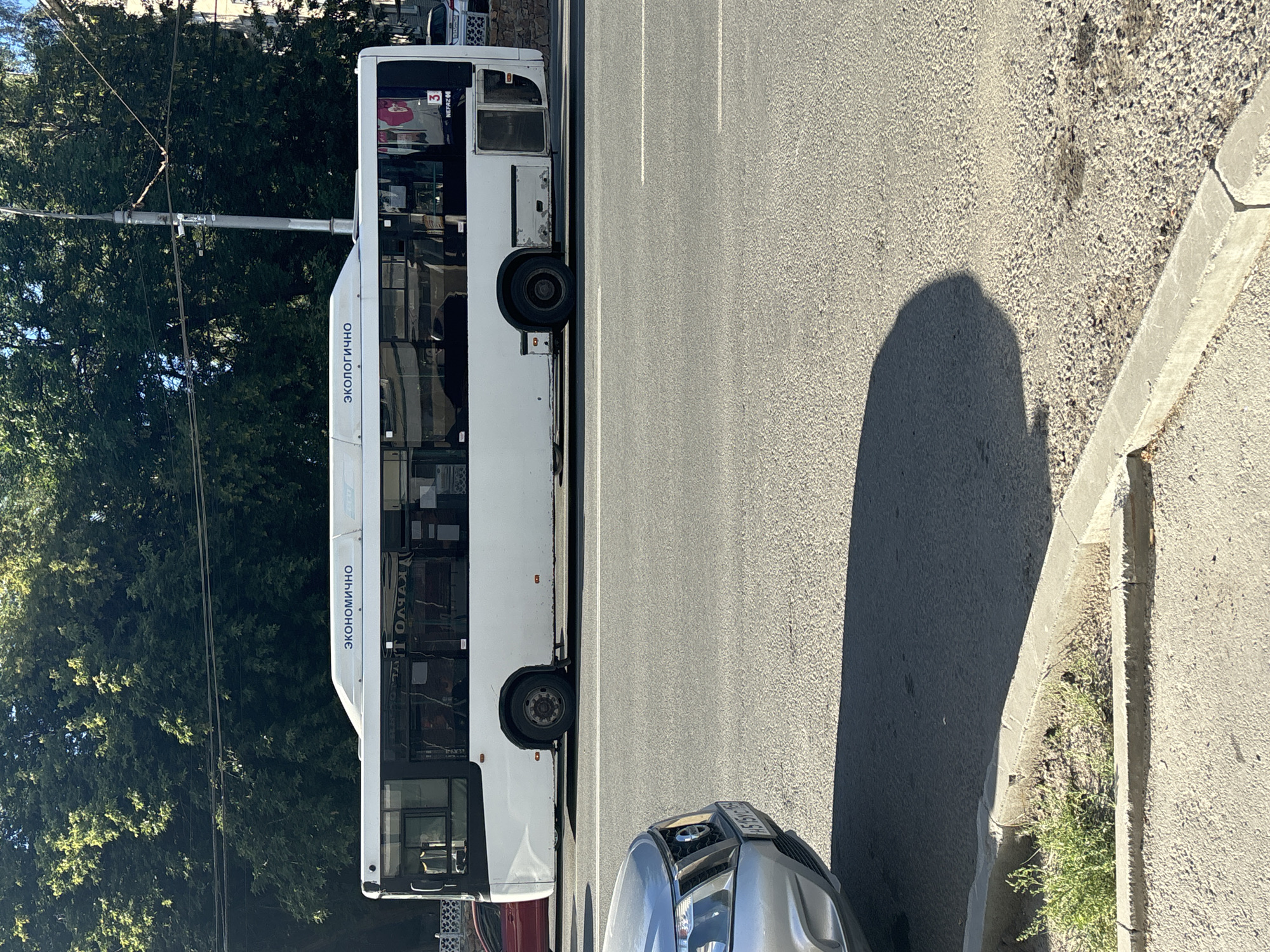 A white bus is parked on a street in Novosibirsk, Russia. The bus has "ЭКОНОМИЧНО" and "ЭКОЛОГИЧНО" written on its roof. The bus is illuminated by sunlight, casting a shadow on the asphalt. A silver car is parked to the left of the bus, and a sidewalk with grass is visible in the foreground. The background consists of trees and buildings.