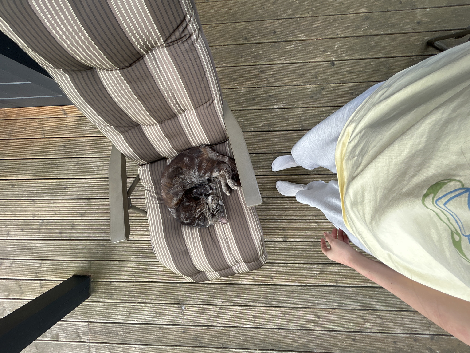 A first-person perspective shot shows a person's legs and torso on a wooden deck. The person is wearing light gray sweatpants and a light yellow t-shirt with a green and blue graphic. White socks are visible on the person's feet. To the left, a gray and brown striped cushion is on a chair, with a tabby cat sleeping on it. A black vertical beam is in the upper left corner of the image, and a portion of a black railing is visible on the right side. The wooden deck planks are oriented vertically in the image. The scene appears to be outdoors, possibly on a porch or patio.