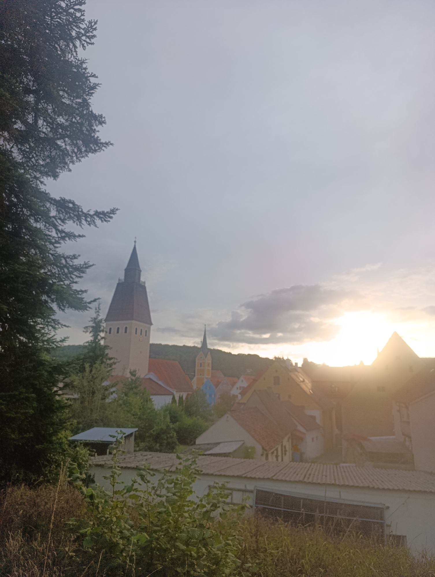 This is a vertical, outdoor photograph taken in the city of Berching, Germany, during what appears to be late afternoon or early evening, with the sun setting and casting a warm glow. The foreground is dominated by the dense branches and needles of a large evergreen tree on the left side of the frame. Below and to the right of the tree, tall, dry grasses and foliage are visible, obscuring the lower portion of the scene.
In the middle ground, a cluster of buildings forms a small town or village. A prominent, tall, light-colored church tower with a dark, pointed roof stands out, featuring a clock face visible on its side. Adjacent to this tower, other buildings with red-tiled roofs are scattered throughout the scene. To the right of the main church tower, another smaller, yellow church tower with a blue roof is visible. The buildings are constructed in a traditional European architectural style.
The background consists of a tree-covered hill and a hazy sky. The setting sun is visible on the right side of the frame, partially obscured by clouds, which are illuminated by the sunlight. The overall atmosphere is serene and slightly muted due to the lighting conditions. There are no people or animals visible in the photograph.