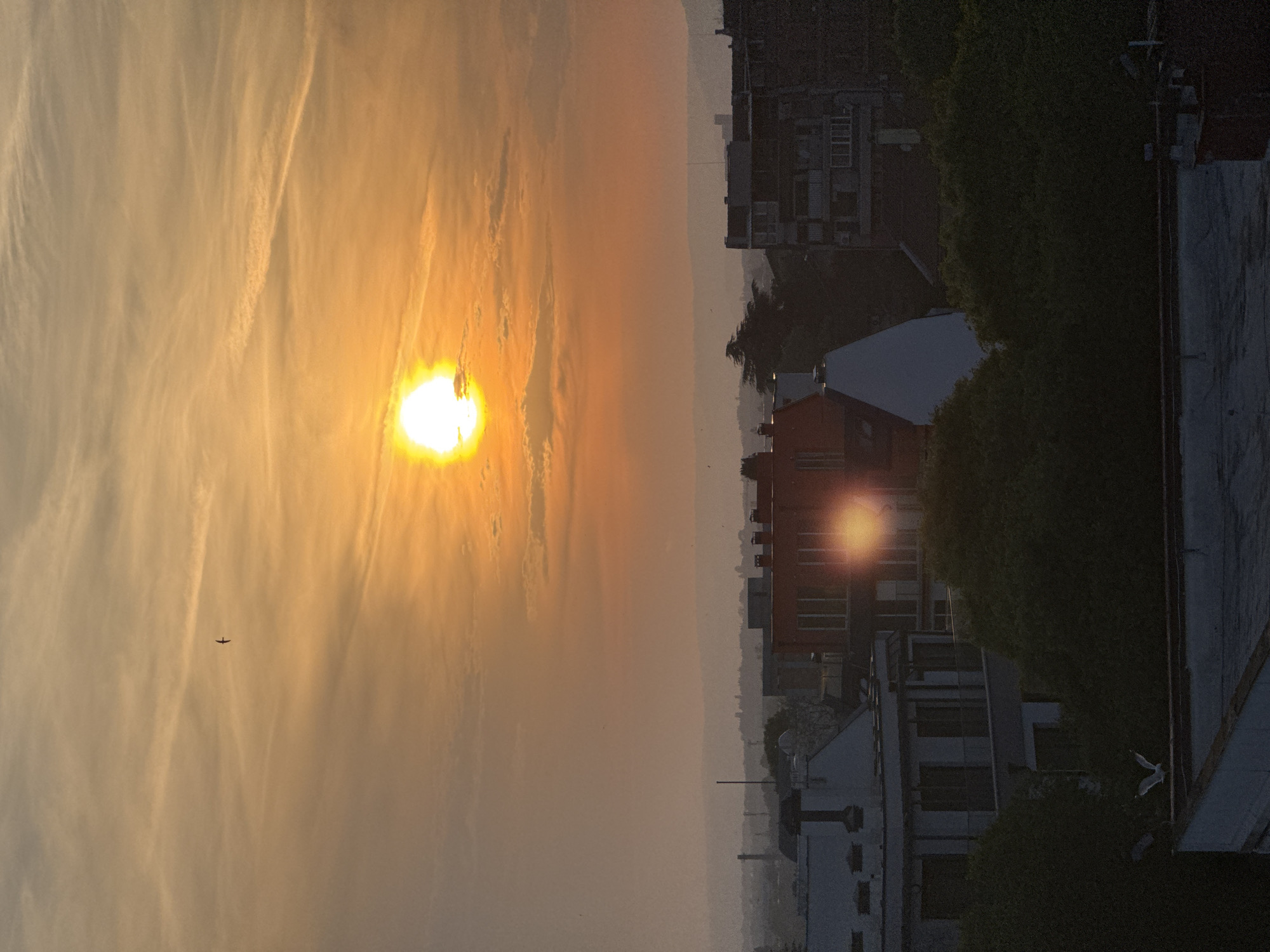 The image shows a hazy sunset in what appears to be Varna, Bulgaria. The sun is setting behind a cityscape consisting of medium-rise apartment buildings and trees. The sky is filled with wispy clouds. There is a bird flying in the sky. Some buildings reflect the sunlight. A few birds fly near the buildings.