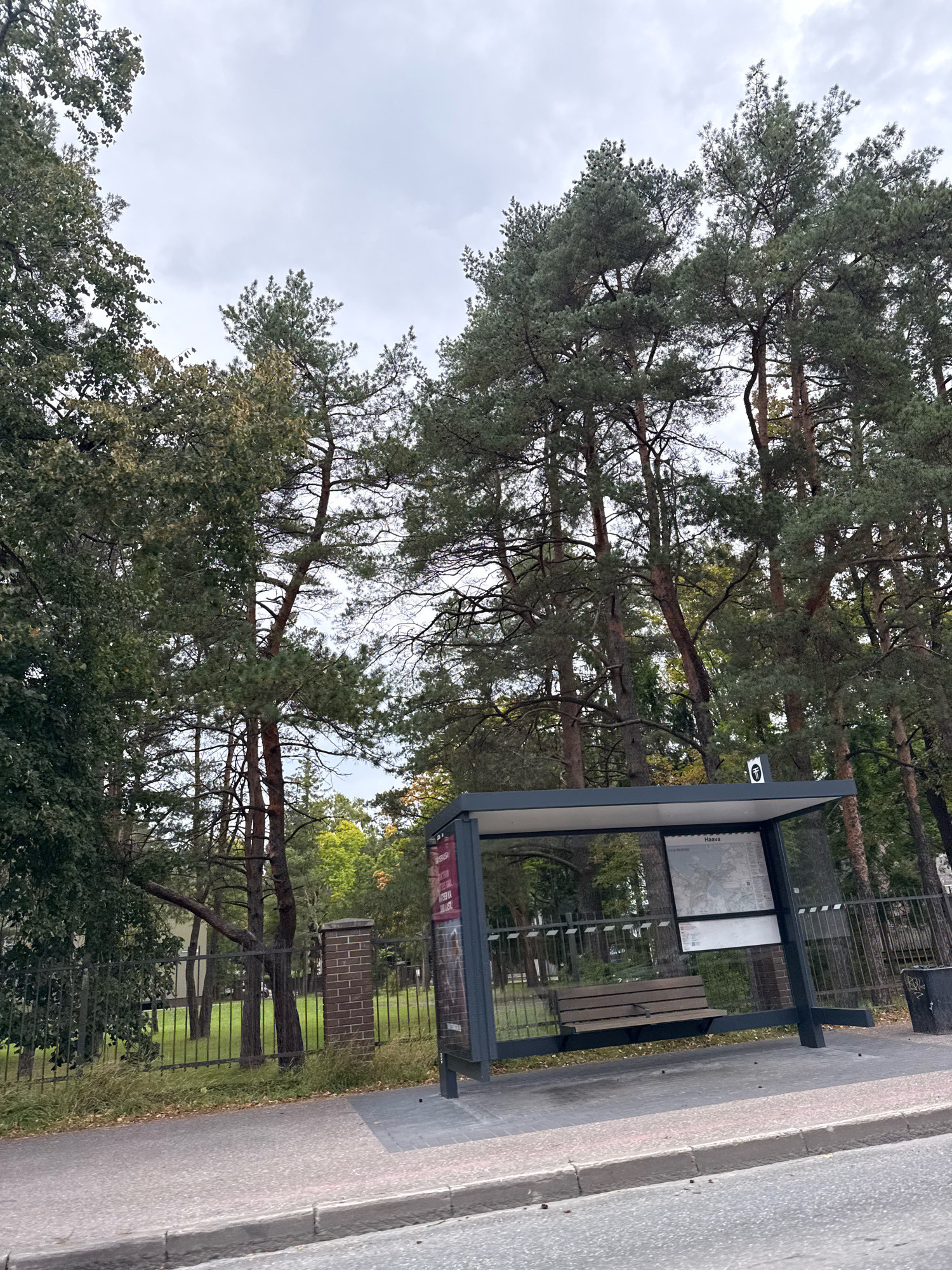 The image depicts a bus stop with a dark gray roof and black metal frame. A wooden bench is installed inside the bus stop, and a map titled "Haava" is displayed on the back wall. A black trash can is visible to the right of the bus stop. The bus stop is situated on a paved sidewalk next to a road. Behind the sidewalk, there is a metal fence and a brick pillar. Beyond the fence, a grassy area with several tall pine trees and other greenery is visible. The sky is overcast. The scene is located in Tallinn, Estonia.