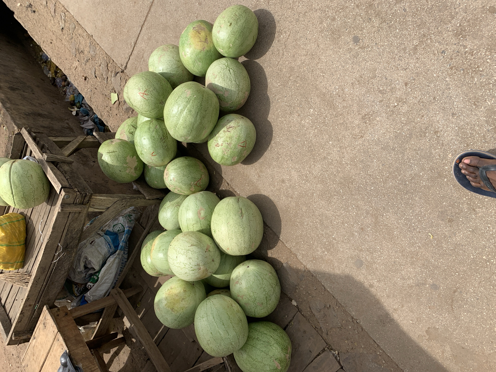 The image shows a cluster of approximately 20 small, unripe watermelons. They are pale green with faint striations. The melons are piled on wooden planks and directly on a concrete surface. The location appears to be outdoors, possibly a market stall in Rafin Par, Nigeria. The concrete surface and wooden planks suggest a roadside or market area. A foot wearing a sandal is visible in the upper right corner of the frame. There's a partially visible bag with some text on it. An additional wooden structure is partially visible in the lower left. The light indicates a sunny day. There are shadows cast by the melons.