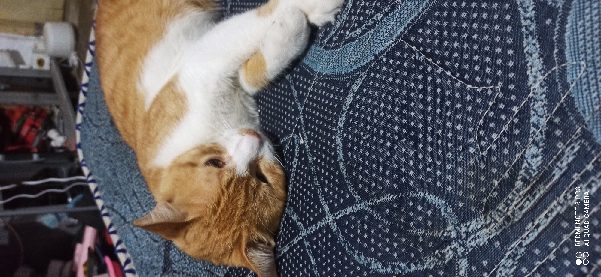 A ginger and white cat lies on a dark blue patterned fabric. The cat is resting its head on its paws, with its eyes partially closed. The fabric has a repeating pattern of small white dots and subtle blue wavy lines. In the background, out of focus, are various objects including what appears to be furniture and electronics. The bottom of the image shows a watermark that reads "REDMI NOTE 8 PRO AI QUAD CAMERA". The scene appears to be indoors, likely in a domestic setting. The specific location of Sedati Agung, Indonesia, cannot be determined from the visual information provided in the image.