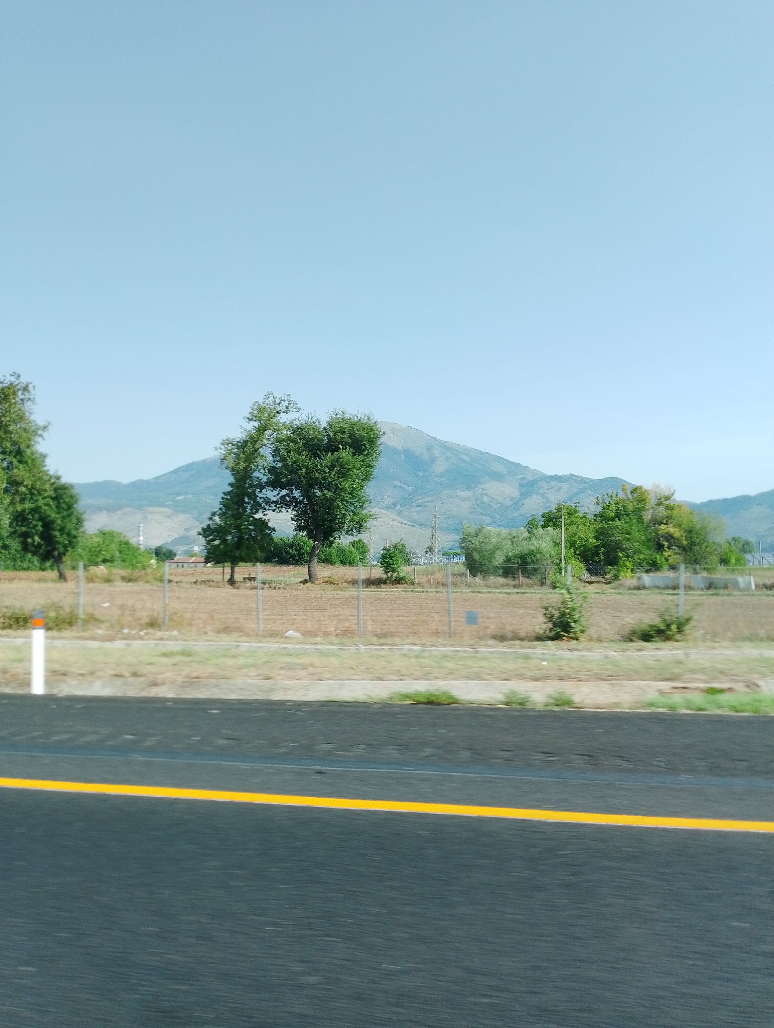 This is a landscape photograph taken from a moving vehicle, likely a car, on a sunny day. The foreground features a dark asphalt road with a bright yellow lane marker running horizontally across the image. Beyond the road, a dry, grassy field is visible, separated by a metal fence. Several trees are scattered throughout the field, with one particularly prominent tree in the middle ground, its branches reaching towards the sky. In the background, a mountain range with arid, rocky slopes dominates the horizon. The sky is a clear, pale blue. The image does not depict any people, buildings, or specific landmarks that would definitively place it in Piedimonte San Germano, Italy, although the general scenery is consistent with a rural Italian landscape.