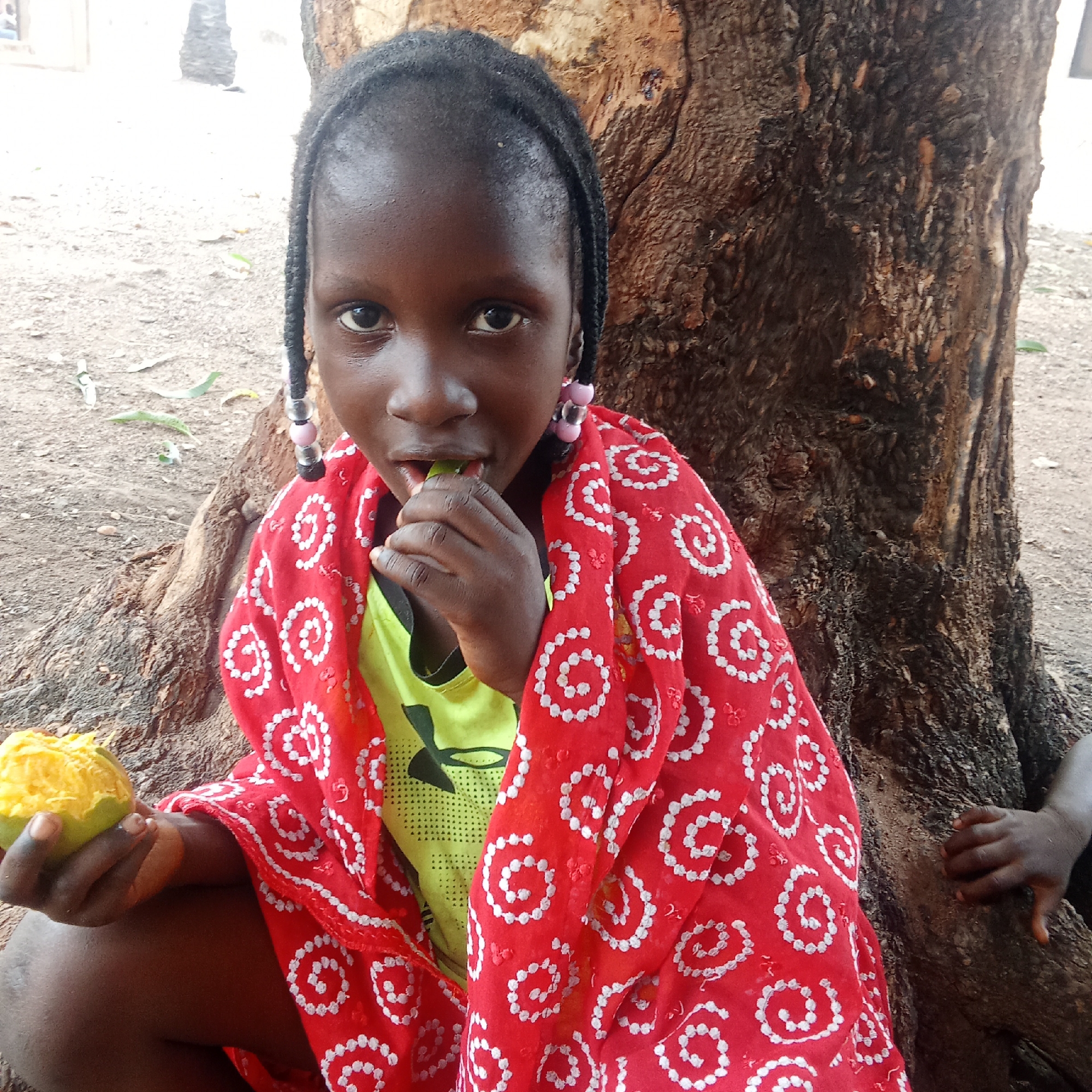 In Akwanga, Nigeria, a young girl sits near the base of a large tree. She is dark-skinned with braided hair adorned with beads. She wears a yellow shirt underneath a red patterned shawl. In her left hand, she holds a peeled mango, and she is putting a piece of a green plant in her mouth with her right hand. The ground is dirt with scattered leaves. Another person's hand rests on the tree trunk to the right of the girl.