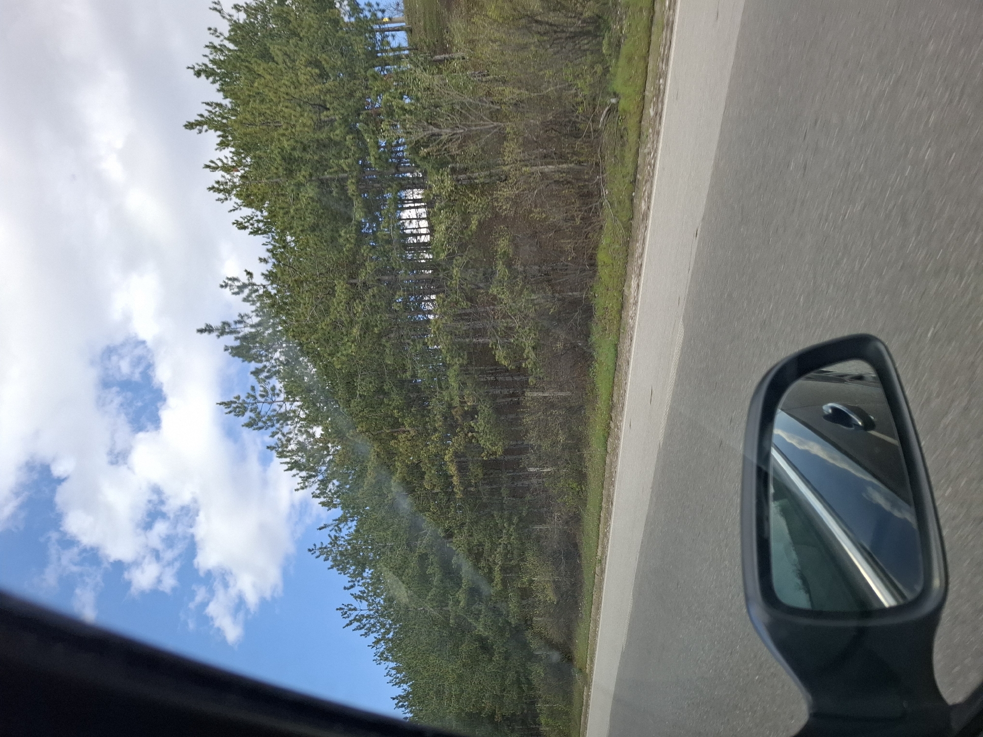 The image shows a view from inside a moving vehicle, likely a car, on a road adjacent to a forest. The road, likely asphalt, is visible in the foreground. The forest, comprised of densely packed trees, borders the roadside. A clear blue sky with scattered white clouds is visible above the trees. A car side mirror is present in the lower right of the frame, reflecting the car itself. The location is Церово, Bulgaria.