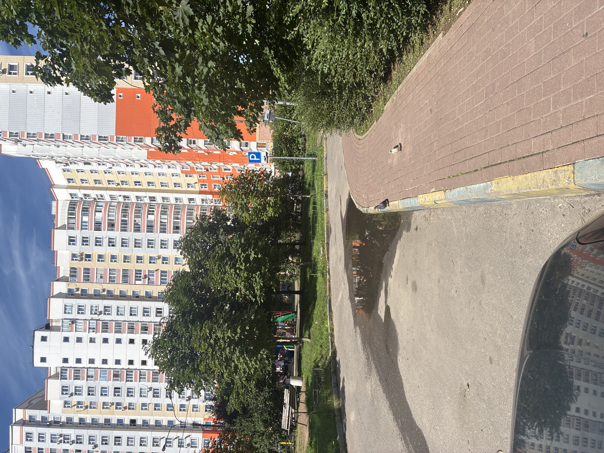 The image depicts an outdoor scene in the city of Drozhzhino, Russia, likely in a residential complex. In the foreground, the hood of a dark-colored car is visible, reflecting a multi-story apartment building. To the right, a red brick paved walkway curves to the right, bordered by green bushes. Two pigeons are present on the walkway. The walkway is separated from a paved area by a curb with yellow and blue markings. On the paved area, a large puddle of water reflects the surrounding environment, including the apartment buildings.
In the mid-ground, to the left, a park bench sits on a grassy area, with trees and a children's playground in the background. The playground equipment appears to be colorful, with a slide visible. Several people are present near the playground. A street lamp is visible to the left of the playground. A blue parking sign is also mounted on a pole in the mid-ground, behind the walkway.
The background is dominated by several tall, multi-story apartment buildings with varied architectural features and color schemes, including white, yellow, and orange facades. The sky is blue with some clouds. The overall impression is a typical urban residential area on a sunny day.