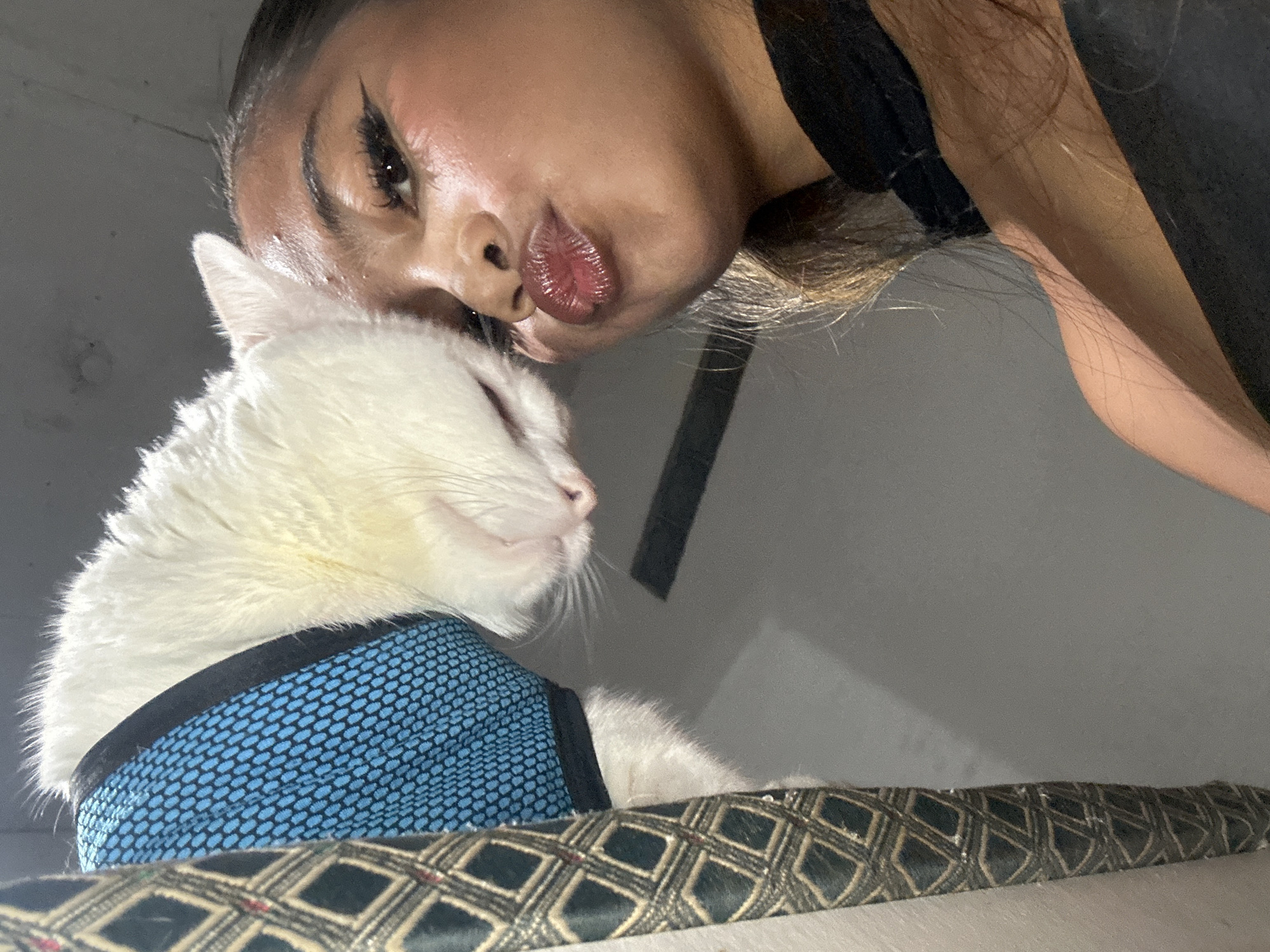 A person with dark hair and winged eyeliner is photographed from a low angle, with their face close to a white cat wearing a blue harness. The person’s lips are pursed. The cat is lying on a patterned cushion. The background is a plain gray wall, suggesting an indoor setting. The image was most likely taken in a home somewhere in North Jakarta, Indonesia.