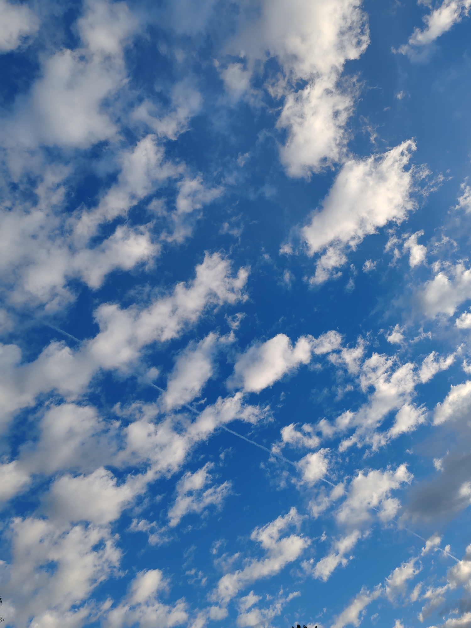 This media file is a photograph of a bright blue sky filled with scattered white, fluffy cumulus clouds. Faint, wispy contrails from airplanes are visible, stretching across the sky in diagonal lines. The sunlight illuminating the clouds suggests it is daytime, likely late afternoon or early evening given the warm glow on some of the cloud edges and the contrast with the deep blue sky. The scene is expansive and natural, with no visible human subjects, man-made objects, or specific geographical landmarks to pinpoint a precise location within Chuchlem, Russia, other than the general context provided. The overall mood evoked by the image is peaceful and serene, characterized by the beauty of the natural sky and cloud formations. There is no visible text in the image.