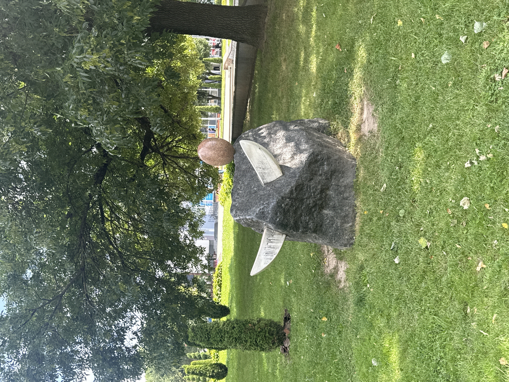 In Mahilyow, Belarus, a park scene features a large, dark grey boulder as a central sculpture. Two light-colored, curved objects resembling tusks are inserted into the sides of the boulder, one on each side, angled outwards. A rounded, reddish-brown stone sits atop the boulder. The sculpture is situated on a patch of grass with a bare dirt circle around its base. In the background, several cone-shaped evergreen trees are planted in a line. Beyond the trees, buildings with windows and a sidewalk are visible. A large, leafy tree with dark bark shades the sculpture and the surrounding grassy area. The ground is covered in green grass, with scattered dry leaves. In the distance, a ginger-colored cat is visible lying on a ledge near a building.