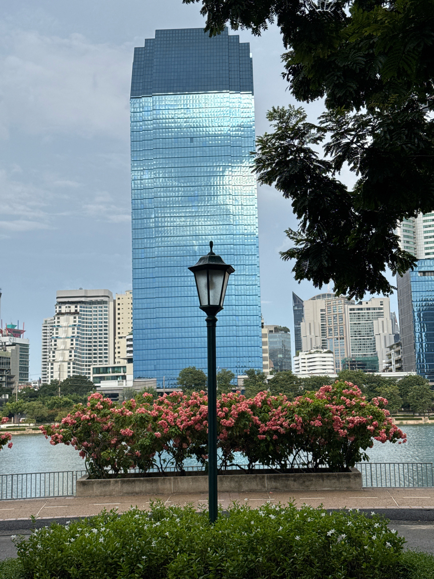A wide shot captures a serene urban park setting against a backdrop of a bustling cityscape in Bangkok, Thailand. Dominating the center of the frame is a towering, modern skyscraper with a striking blue glass facade, its surface reflecting the overcast sky. In the foreground, a traditional black lamppost stands sentinel, flanked by lush greenery. A vibrant row of pink flowering bushes lines a concrete planter box, separating the park from a calm body of water. Beyond the water, a metallic fence and a paved walkway lead the eye towards the array of contemporary buildings that define Bangkok's skyline. The scene is bathed in diffused daylight, with hints of sunlight glinting off the skyscraper's windows, suggesting a pleasant, if not entirely sunny, day.