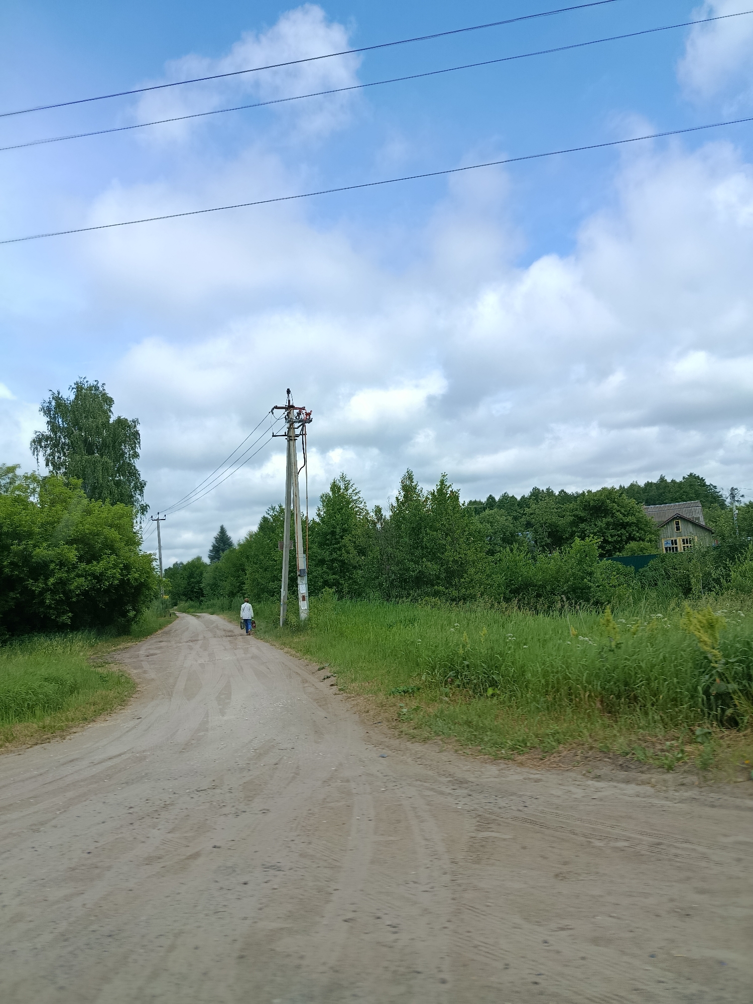 The image depicts a dirt road in a rural area, possibly the city of Тополиный, Russia, on a cloudy day. The road is unpaved and shows tire tracks. On the right side of the road, there is a dense line of green trees and tall grass. In the distance, a small wooden house with a dark roof and yellow windows is visible amongst the trees. On the left side of the road, there are also green trees, with a larger, more mature tree standing out. A single utility pole with electrical wires runs parallel to the road. A person, wearing a light-colored top and dark bottoms, is walking away from the camera on the road, pulling a cart or bag. Another utility pole is visible further down the road on the left. The sky is blue with scattered white clouds, and some power lines are visible against the sky.