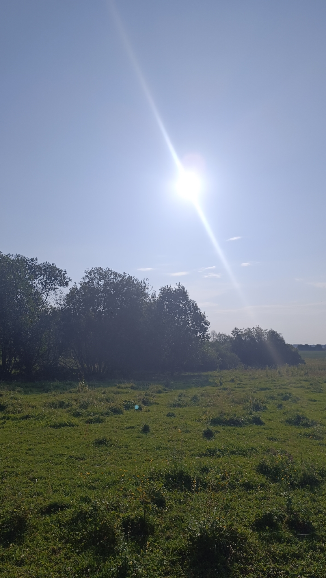 This is a vertical, eye-level, outdoor photograph taken on a sunny day. The scene depicts a grassy field with a line of trees in the middle ground. The sun is bright and high in the sky, creating a lens flare that streaks down from the upper right quadrant of the image. The sky is a clear blue with a few wispy clouds. The grass in the foreground appears to be a mix of green and brown, with some scattered wildflowers. The trees are dense and dark green, suggesting they are deciduous. The overall impression is one of a peaceful, natural landscape. The location is identified as Karsha, Russia. The time of day is likely mid-morning to early afternoon, given the sun's position. The weather is clear and sunny. There is no text visible in the image.