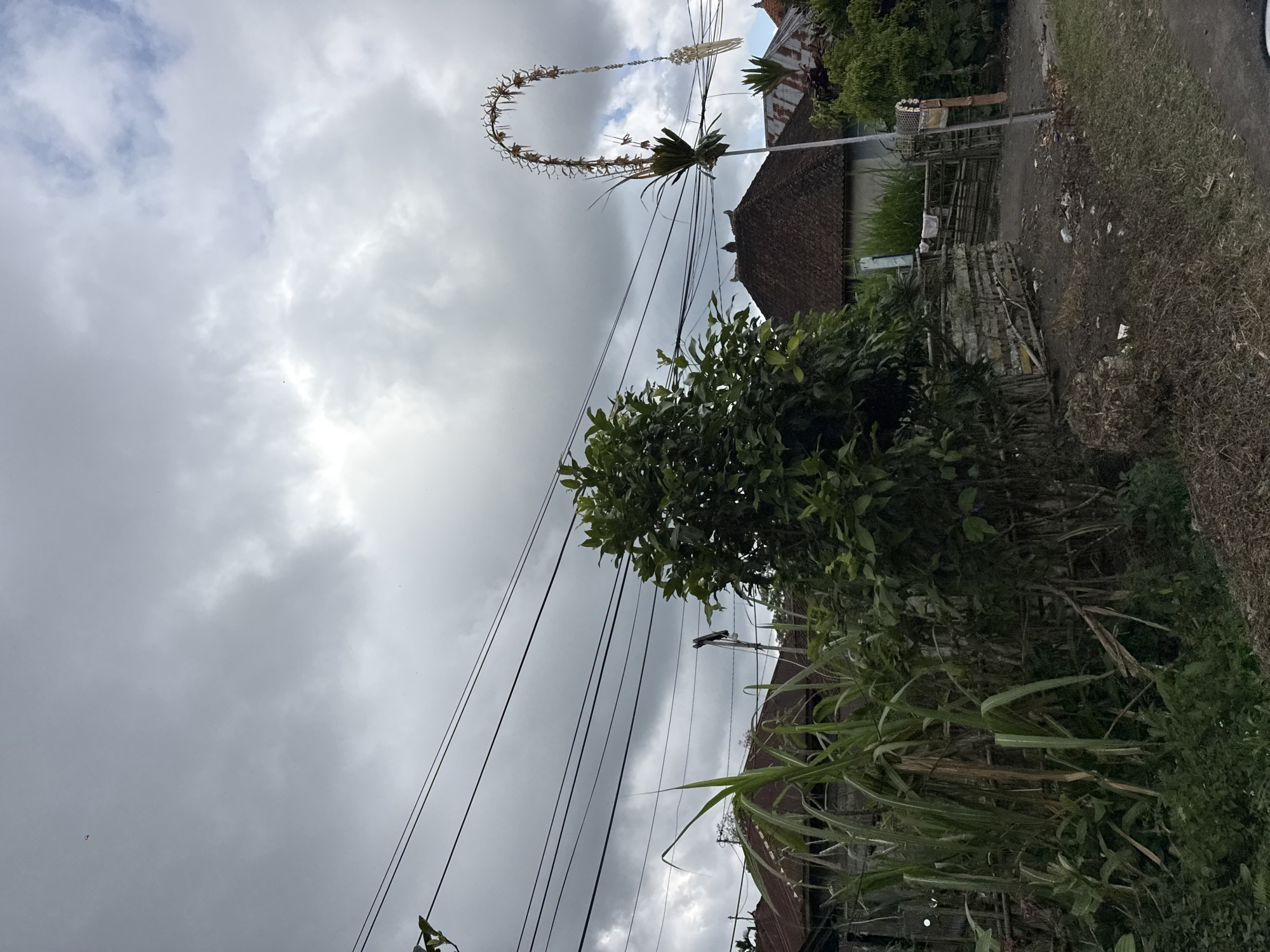 An outdoor, medium shot captures a street scene in Bangli, Indonesia, under an overcast sky. The foreground is dominated by tall, green grasses and dense foliage. In the midground, power lines crisscross the frame above several traditional Balinese houses with dark, tiled roofs. To the right, a distinctive arched decorative structure, likely a Penjor, stands tall, adorned with woven materials and flowers. The ground appears to be a dirt path with scattered debris. A small, purple object is visible high in the sky on the left side of the frame.