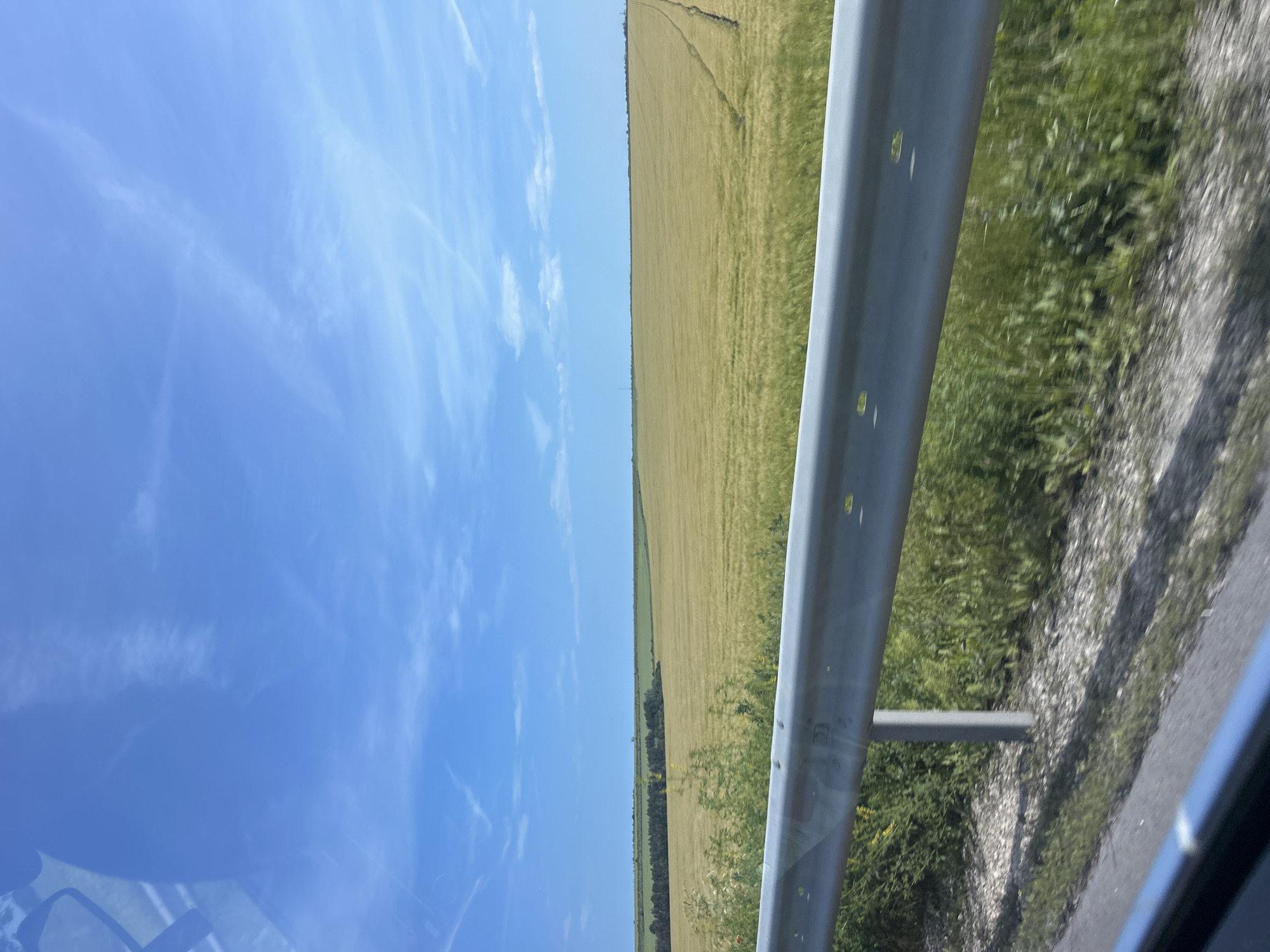 The image displays a bright, sunny daytime view from inside a moving vehicle, looking out onto a rural landscape. Approximately the upper half of the frame is filled with a clear blue sky, featuring scattered, thin white clouds and faint contrails. Below the sky, vast fields of yellowish-green crops, possibly grain, stretch towards the distant horizon, where a narrow band of darker trees or vegetation is visible.
A silver metal guardrail occupies the right side of the foreground and mid-ground, indicating the edge of a road. Below the guardrail, a mix of green grass and roadside flora grows, adjacent to a grey, granular road shoulder and a darker asphalt surface extending into the distance. The bottom-left corner shows subtle reflections consistent with the interior of a vehicle, such as a dashboard or window frame.
The scene conveys a sense of travel through agricultural land under clear and sunny weather conditions. No specific activity beyond observing the passing scenery is depicted. There is no visible text in the media file. The setting is a rural area, consistent with the provided location context of Kamenar, Bulgaria.