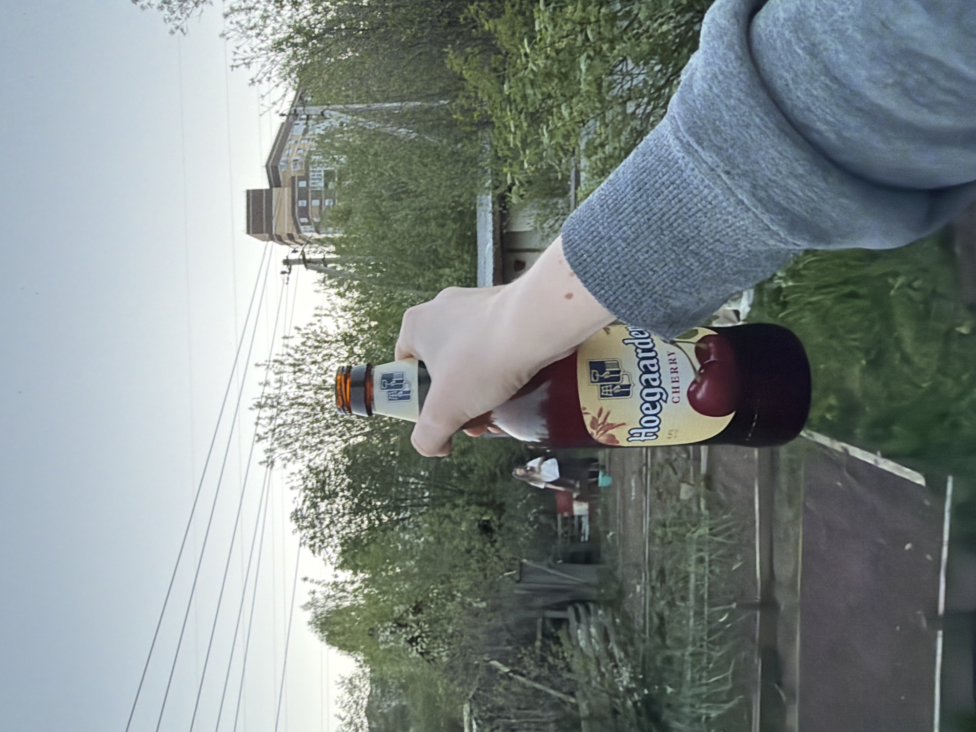 A person wearing a gray sweatshirt is holding a bottle of Hoegaarden Cherry beer in their right hand. The background is a residential area in Perm, Russia, with apartment buildings, trees, power lines, and a fence visible. Other people are indistinctly visible in the background. The setting appears to be outdoors, possibly a backyard or a park-like area.