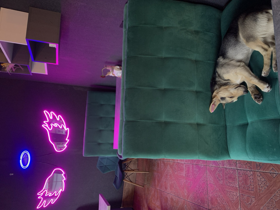 A dog naps on a green couch, its gray and tan fur visible. Nearby, a wall features two vertical green, tufted columns. Behind these, a black wall displays pink and blue neon light shapes. A small shelf unit with white, brown, and blue accents is located off to the side on the black wall. Tiled floor stretches out in the other direction.