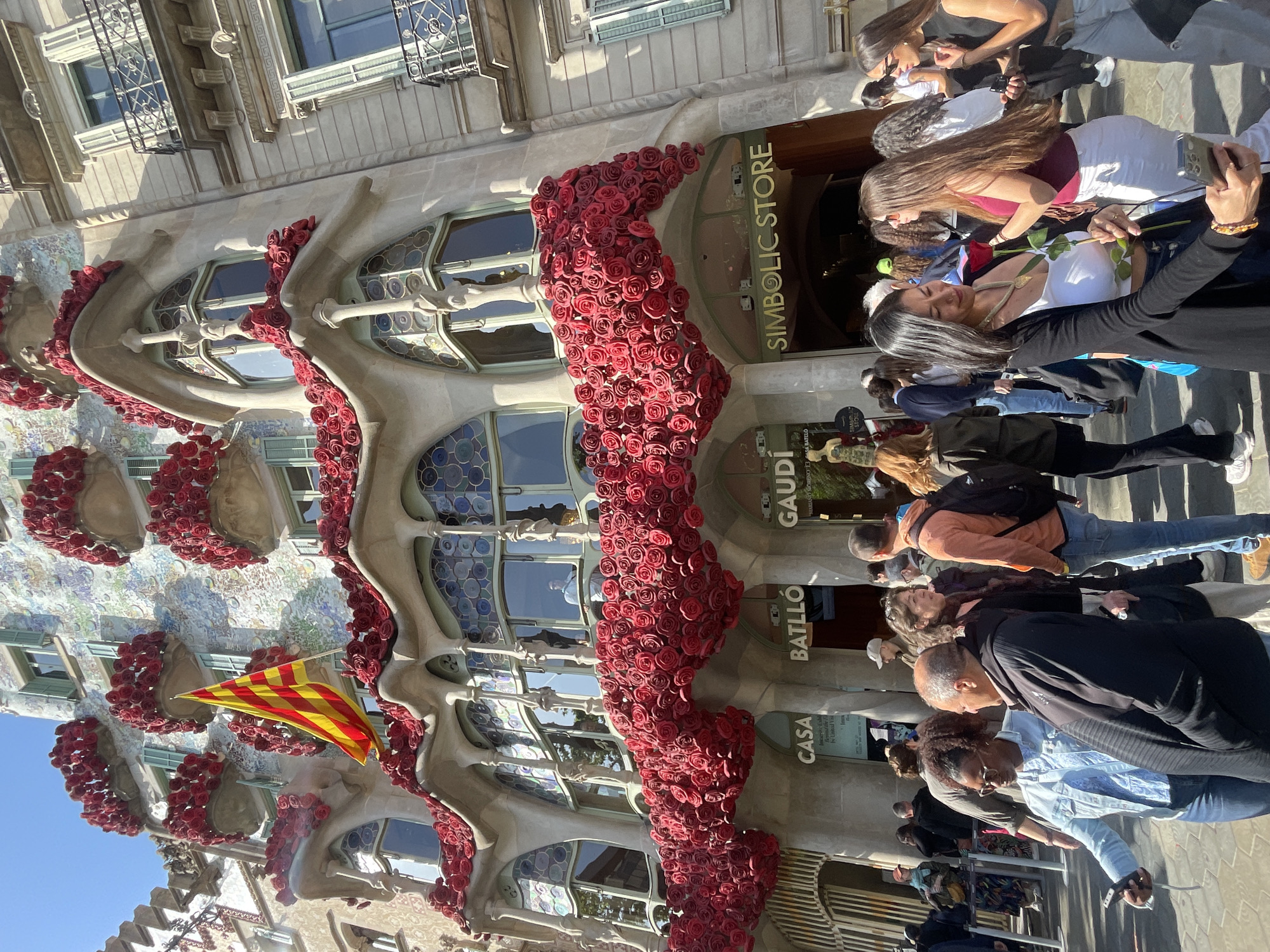 This media file depicts a vibrant street scene in Barcelona, Spain, centered on the iconic Casa Batlló, designed by Antoni Gaudí. The building's unique facade, characterized by undulating lines, organic shapes, and colorful mosaic details, is extensively decorated with thousands of bright red roses. These roses cascade down the balconies and wrap around the windows, creating a striking visual display. A yellow and red striped Catalan flag (Senyera) proudly flies from one of the building's balconies.
A diverse crowd of people, mostly adults, occupies the foreground and mid-ground, suggesting a popular tourist spot. Many individuals are engaged in observing the architectural marvel, with several seen holding smartphones to capture photos or videos. One woman in the mid-ground is notably holding a single red rose while taking a selfie, adding to the festive atmosphere. People appear to be queuing or strolling along the sidewalk in front of the building.
The scene unfolds on a clear, sunny day, indicated by the bright light and distinct shadows. The extensive rose decoration strongly suggests the event is Sant Jordi's Day (Saint George's Day), a traditional Catalan celebration on April 23rd, where roses are commonly exchanged.
Visible text on the building's facade includes "CASA BATLLÓ," "GAUDI," and "SIMBOLIC STORE," indicating a shop entrance. Other partial text snippets like "MARIANO GORENO" and "Beyond the United Vis" are also discernible.