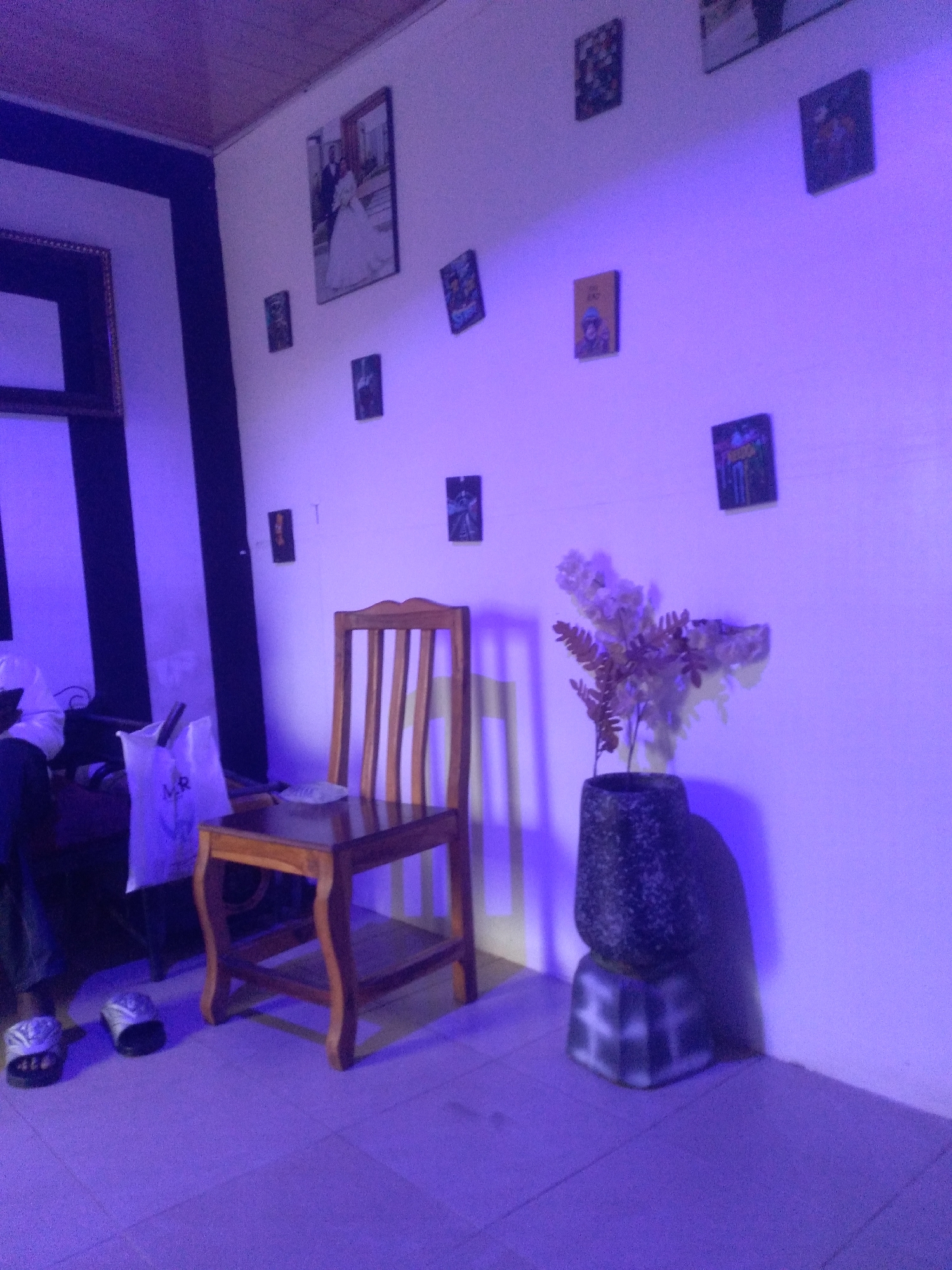 The image captures an interior room bathed in a striking purple light, suggesting an artificial lighting setup. The scene is dominated by a white wall on the right, adorned with numerous framed pictures and posters of varying sizes. A prominent, larger framed photograph, likely a wedding picture featuring a couple, is positioned higher on this wall. Below it and scattered around are several smaller, rectangular art pieces or photographs.
To the left, a section of the wall features bold black and white vertical stripes, on which another framed object is visible. In the foreground, a classic wooden chair with vertical slats on its back and a dark polished seat stands centrally. On the seat of the chair, a small, light-colored object is placed. Next to the chair, a dark, textured vase holding an artificial plant with light-colored and reddish-brown leaves sits atop a decorative, squared stand. Both the vase and its stand cast distinct shadows on the purple-lit wall behind them.
On the left side of the frame, the lower part of a person's body, including their legs and feet clad in dark and silver slippers, is partially visible. Two silver-colored slippers are also placed on the light-colored tiled floor next to the chair. A white plastic bag with some visible text, possibly "MR" or "VR," rests on the floor near the person's feet and the chair. No specific activity is occurring, presenting a static view of a decorated indoor space, possibly a living area or bedroom. The strong purple illumination gives the entire room a distinct, ambient mood, and the time of day is not discernible due to the artificial lighting.