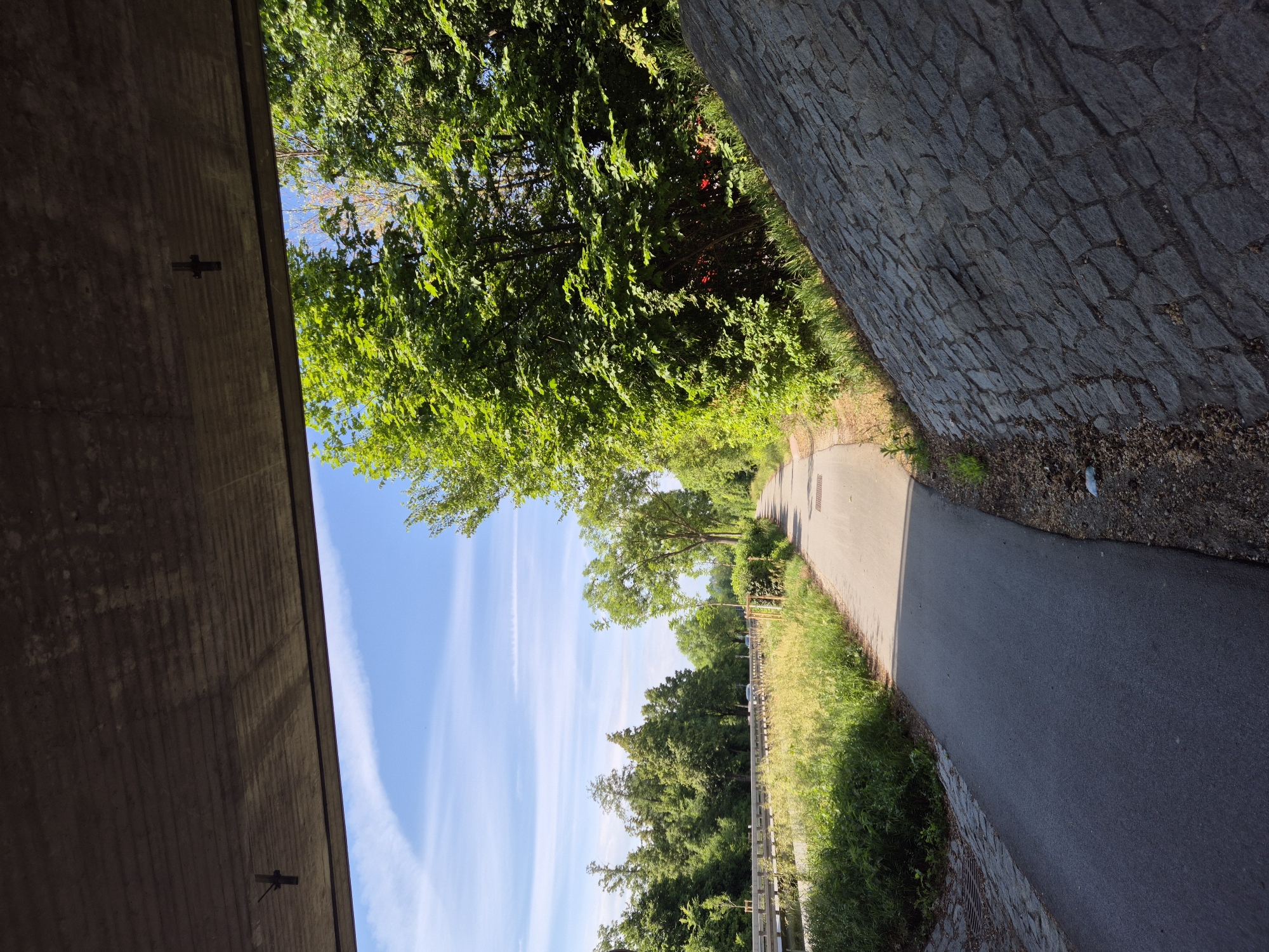 An upward-angled outdoor shot depicts a paved asphalt pathway passing under a concrete overpass in Unknown, Unknown. The top quarter of the image is dominated by the textured grey underside of the concrete bridge, from which two dark, T-shaped fixtures are suspended. Below the overpass, the asphalt path extends into the distance, curving slightly to the left. To the left of the path, a strip of tall, light green and yellow grasses precedes a metal guardrail, beyond which a multi-lane road is visible, bordered by dense green trees. To the right of the path, a steep slope constructed from irregular grey paving stones rises, partially obscured by dense green trees and bushes. The upper left and central portions of the image reveal a clear blue sky with several thin, white wispy clouds. Natural sunlight illuminates the scene, creating sharp shadows from the overpass on the pathway and adjacent ground. A drain grate is visible in the asphalt path near the shadow line, and another further down. A small, crumpled white plastic bag rests on the dirt at the base of the stone slope in the bottom right corner. No individuals or active vehicles are visible.
