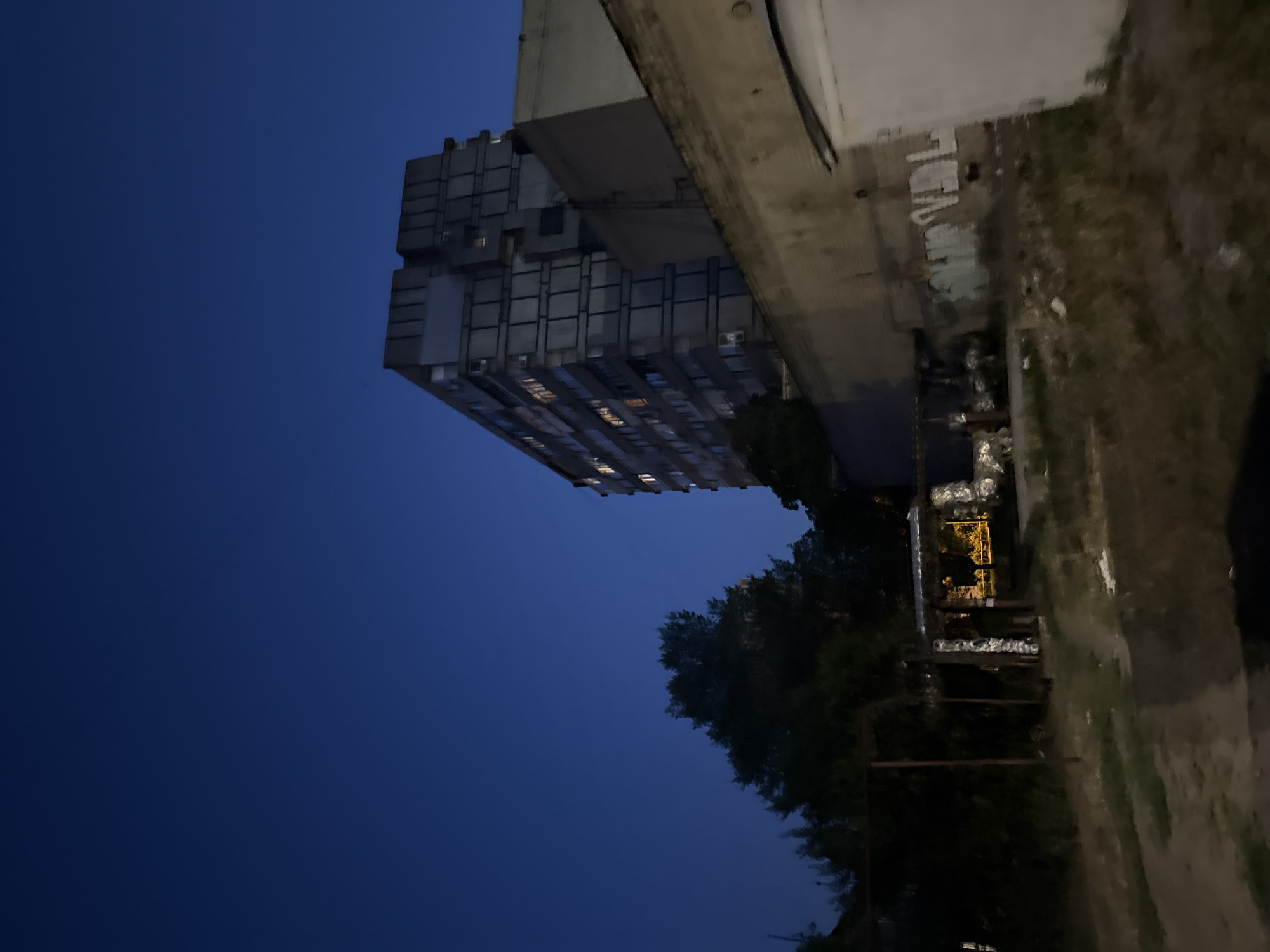 The image depicts an outdoor scene at dusk or night, characterized by a deep blue sky and artificial lighting emanating from buildings. In the background, a tall, multi-story residential building with a gray, concrete facade dominates the view. Numerous windows on this building are illuminated, suggesting occupancy. Adjacent to this structure, a lower, lighter-colored building with a textured wall, possibly brick or stucco, is visible. This building has graffiti scribbled across its surface. In the foreground, a dark, overgrown area with patchy grass and debris is present. Several dark trees and some metallic structures, possibly part of a fence or scaffolding, are also visible. The overall impression is of a somewhat neglected urban environment. The location is identified as the city of Dnipro, Ukraine.