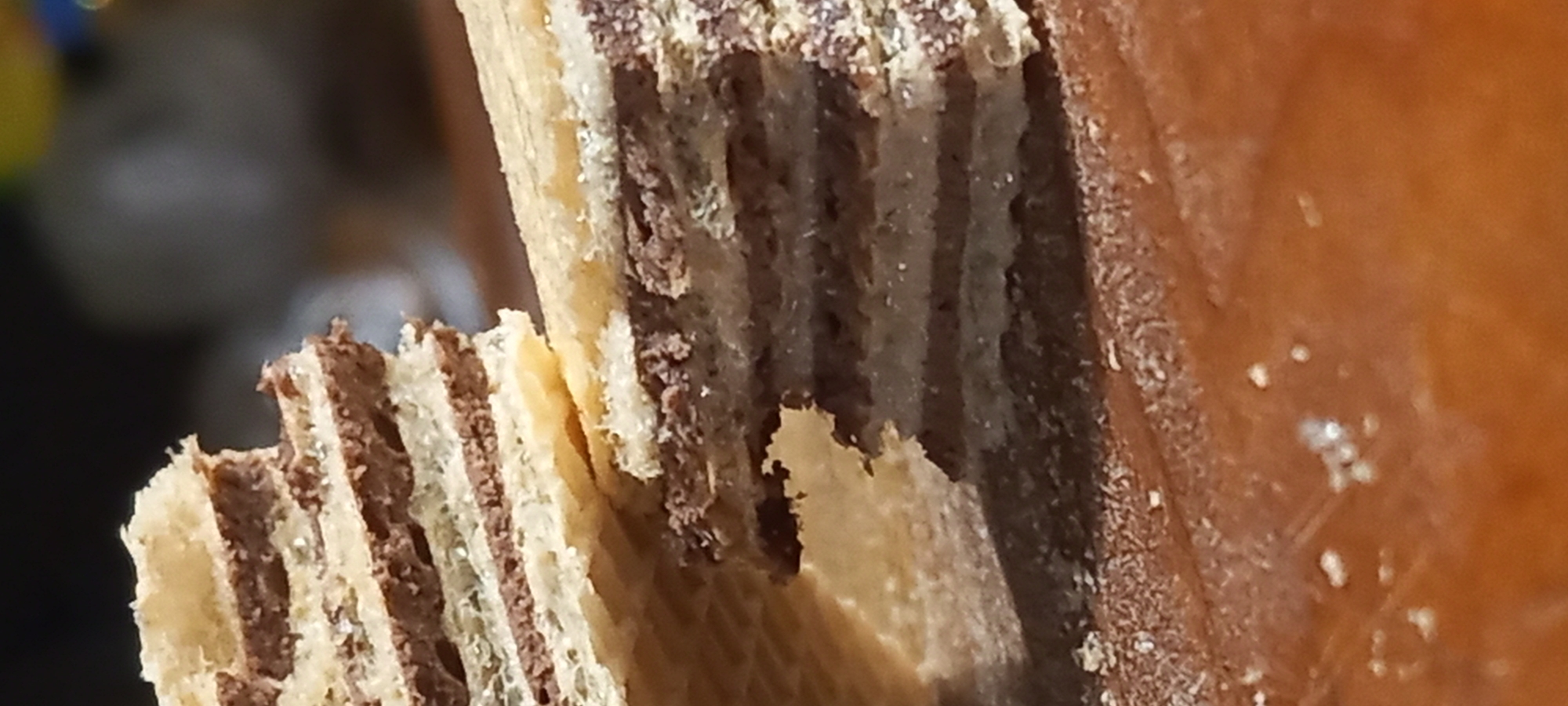 The image provides a close-up, macro view of two broken pieces of a layered wafer biscuit. Each piece exhibits alternating thin, light yellowish-brown, corrugated wafer layers and darker, reddish-brown cream filling, consistent with chocolate or hazelnut.
The piece on the left is taller and displays a jagged, irregular vertical fracture, clearly exposing several internal layers. The piece on the right is shorter, also broken, and shows distinct horizontal strata. Both pieces have crumbly edges where the material has fractured.
The wafers rest on a reddish-brown surface, likely wood, which displays visible grain and subtle texture. This surface is sparsely covered with small, light-colored crumbs, presumably from the broken wafers.
The background is heavily blurred and dark, rendering any specific objects or environmental details indistinguishable. The focus is exclusively on the wafer pieces, creating a shallow depth of field. There are no individuals, actions, or direct interactions depicted in the scene.
No visual information within the image, such as landmarks or identifying markers, allows for the determination of its geographical location, nor does it contain any elements identifying it as being in the city of Kryvyi Rih, Ukraine.