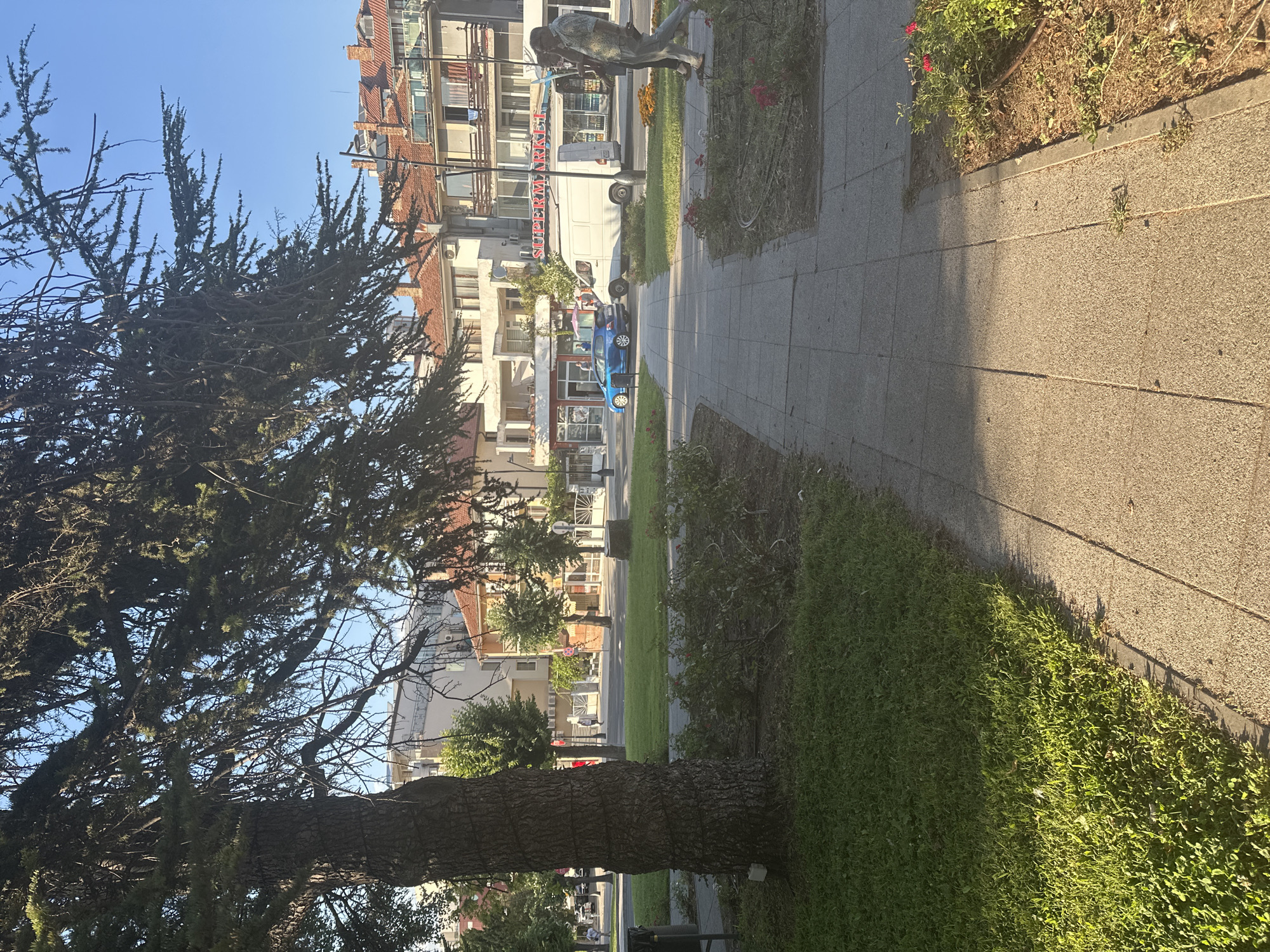 This is a photograph taken in Nesebar, Bulgaria. The scene depicts a sidewalk with a street beyond it, lined with buildings and trees. The time of day appears to be late afternoon or early evening, as indicated by the long shadows cast by the trees and the warm, golden light. The weather is clear and sunny, with a bright blue sky visible.
In the foreground, a large tree with dark, textured bark dominates the left side of the frame. Its branches extend upwards and to the right, partially obscuring the view of the buildings. The sidewalk is paved with rectangular tiles and runs along the right side of the image. Adjacent to the sidewalk is a patch of green grass and a flower bed with red flowers.
Further down the street, a blue car is parked. There are several buildings in the background, appearing to be a mix of residential and commercial properties, with balconies and windows visible. A white van with "SUPERMARKET" written on its side is parked in front of one of the buildings. A statue of a person is visible on the sidewalk, near the flower bed. A few people are visible walking on the sidewalk in the distance.
The overall impression is that of a pleasant, urban setting on a sunny day in a coastal town. The image is oriented vertically, as if the photographer was holding the camera in portrait mode.