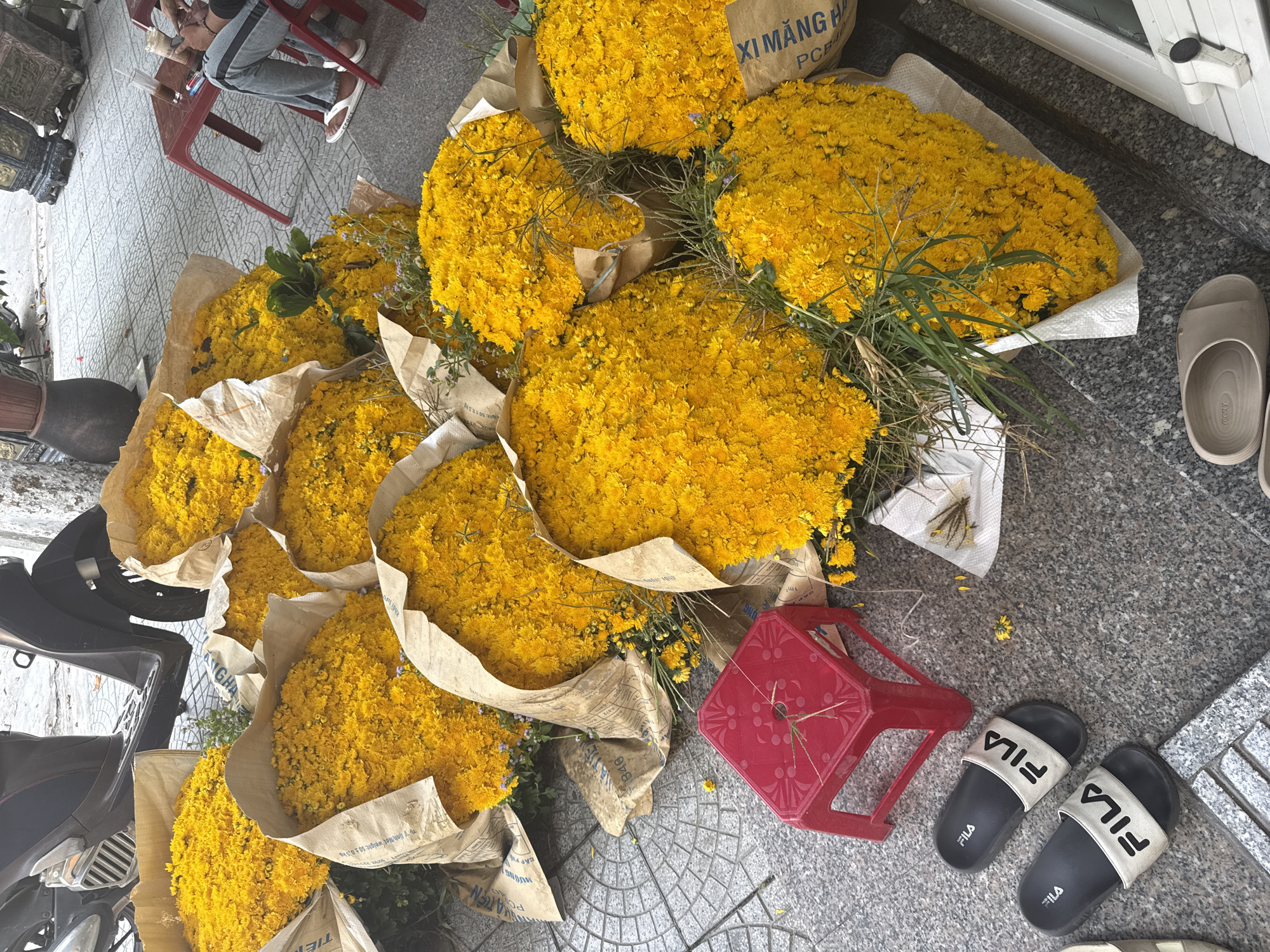 The image shows a collection of yellow chrysanthemums, likely for sale, in Đà Nẵng, Vietnam. Multiple bouquets are wrapped in brown and white paper, and some are simply bundled together. To the right, a pair of FILA-branded sandals and a pair of light-colored sandals are visible. A small red plastic stool sits among the flowers. To the top left, a person sits on a red chair. A scooter is partially visible on the left side of the image. The ground is tiled. A bag of cement and a window are also in the shot. The overall scene suggests a flower vendor preparing or displaying their merchandise.