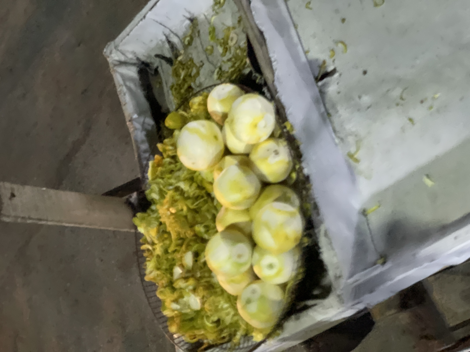 The image displays a close-up, overhead view of a collection of light yellow, round objects, likely fruits, possibly lemons or limes, that appear to have been peeled or partially processed. They are mixed with a substantial amount of green, fibrous, or shredded plant material, which could be fruit pulp or peelings. This mixture is contained within a grey, metal-sided structure, possibly a hopper or a section of a processing machine.
Below the container and the fruit-and-pulp mixture, a metal mesh or grid-like surface is visible. The overall scene suggests an industrial or agricultural setting, specifically a fruit processing operation, such as juicing or pulp extraction. The location could be a factory or a local processing facility in Ado, Nigeria, given the provided context. No people are visible.
The lighting is somewhat dim, which might indicate an indoor setting or a time of day with lower ambient light. There is no visible text or branding. The image captures a stage in fruit processing, likely before or during the separation of juice from pulp and peels.